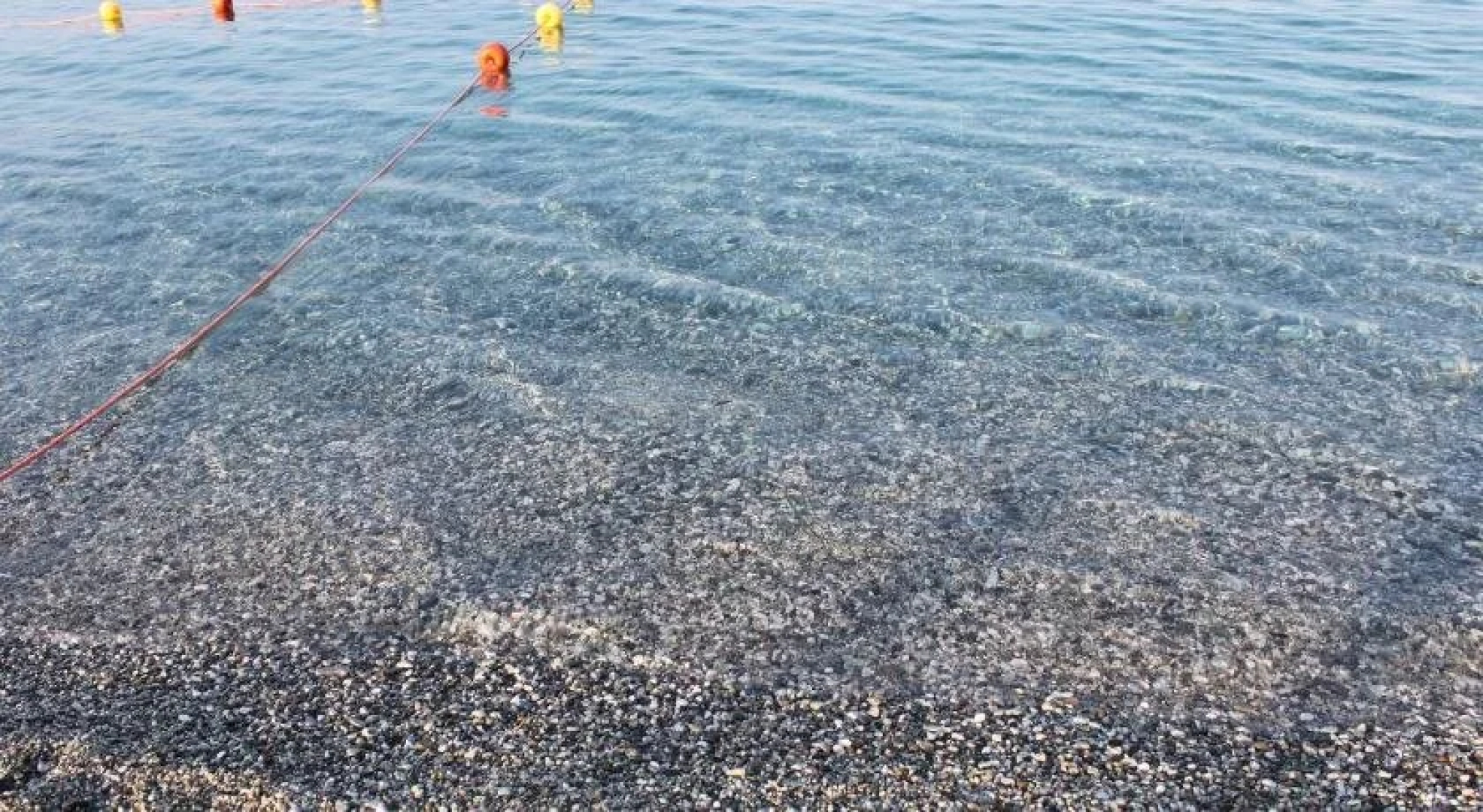 Villa Delle Rose