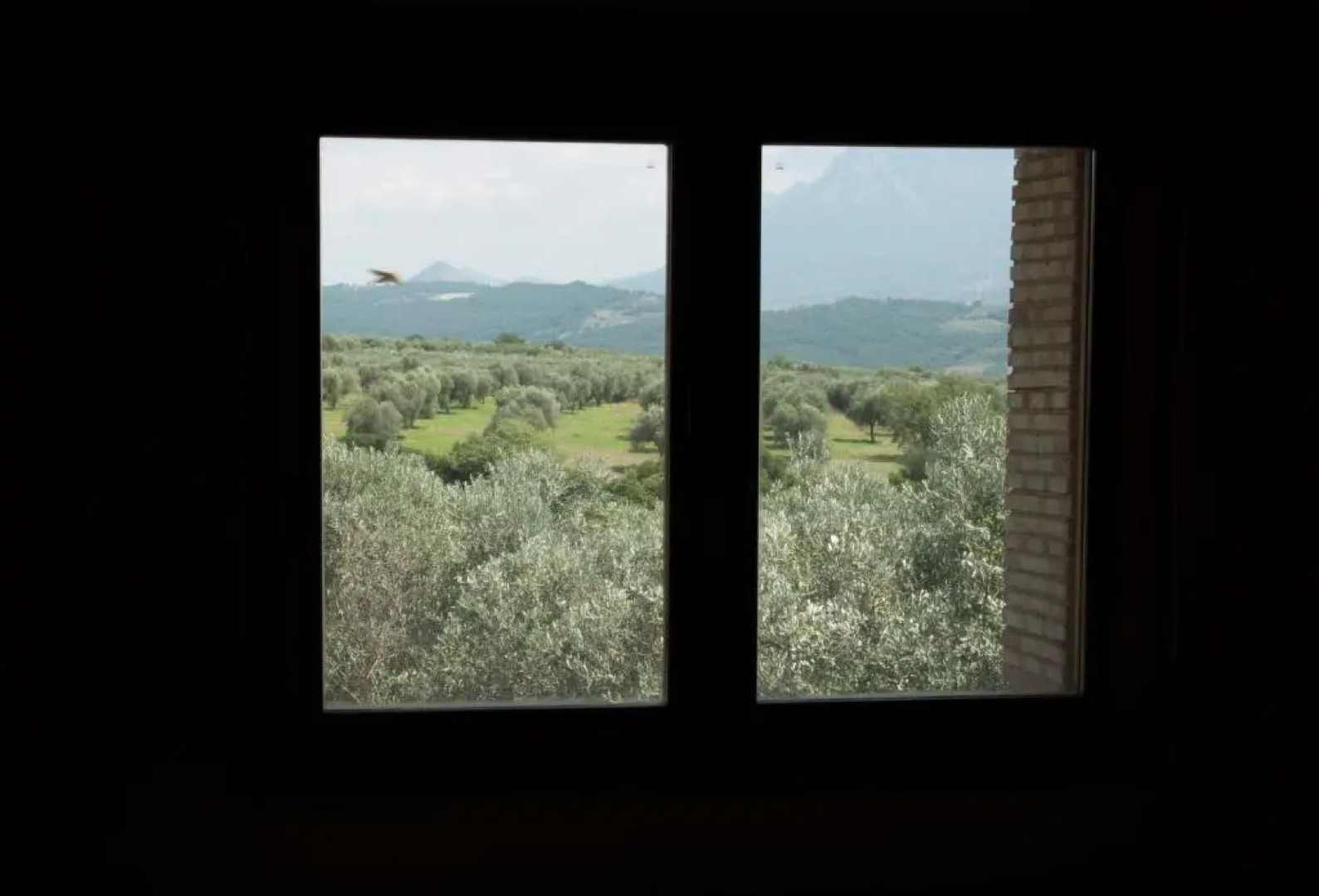 Rifugio tra gli Ulivi B&B