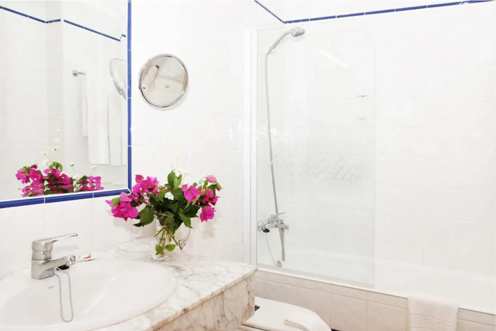 Comitas Isla del Aire