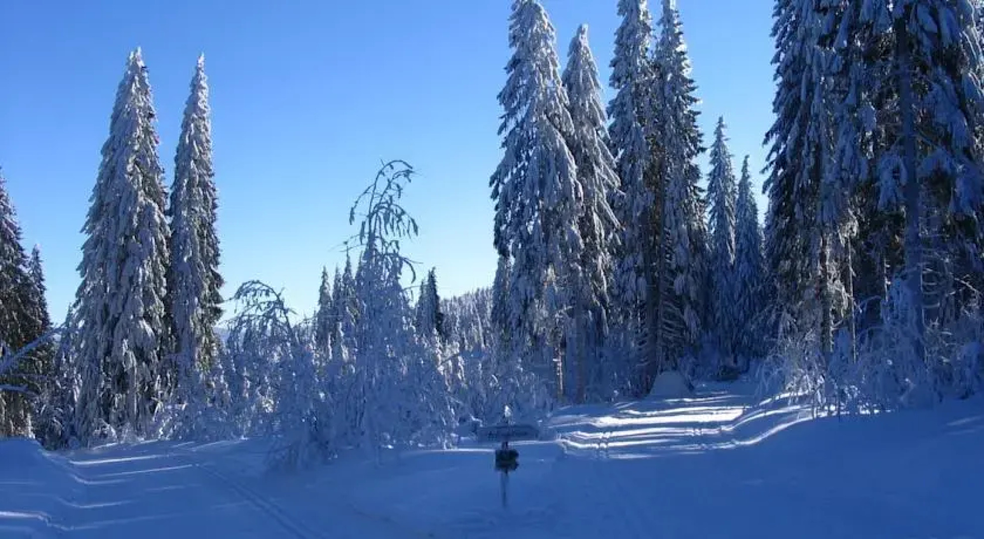 Arber Ferienwohnungen