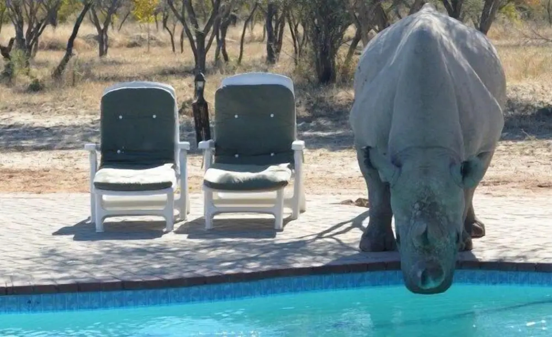 Khama Rhino Sanctuary