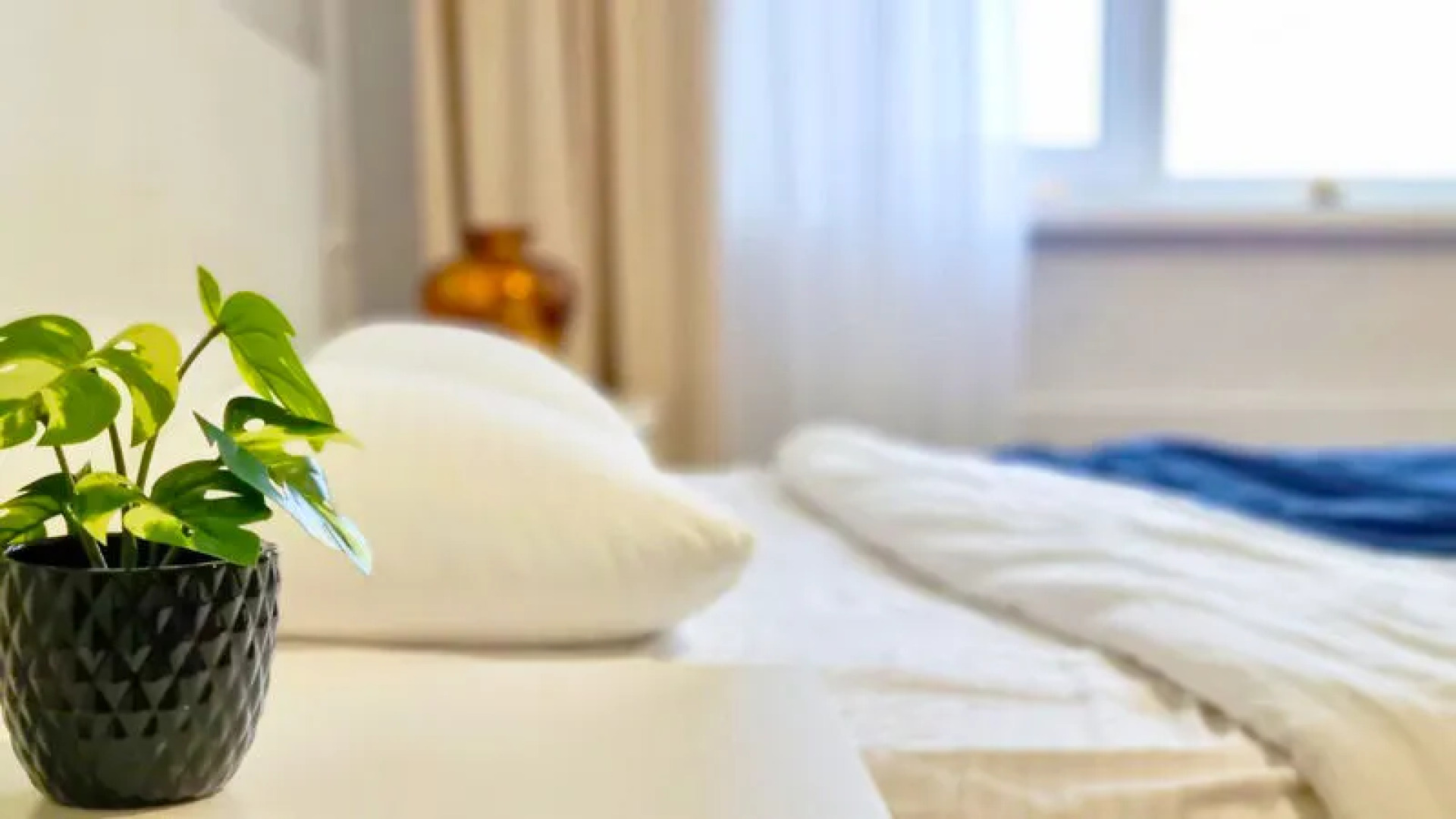 Никирент на ул. Академика жук, д. 12/1