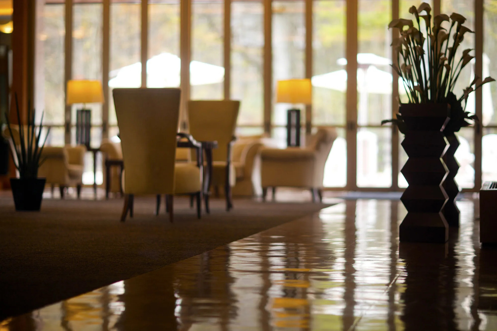 Hotel Ryu Resort and Spa