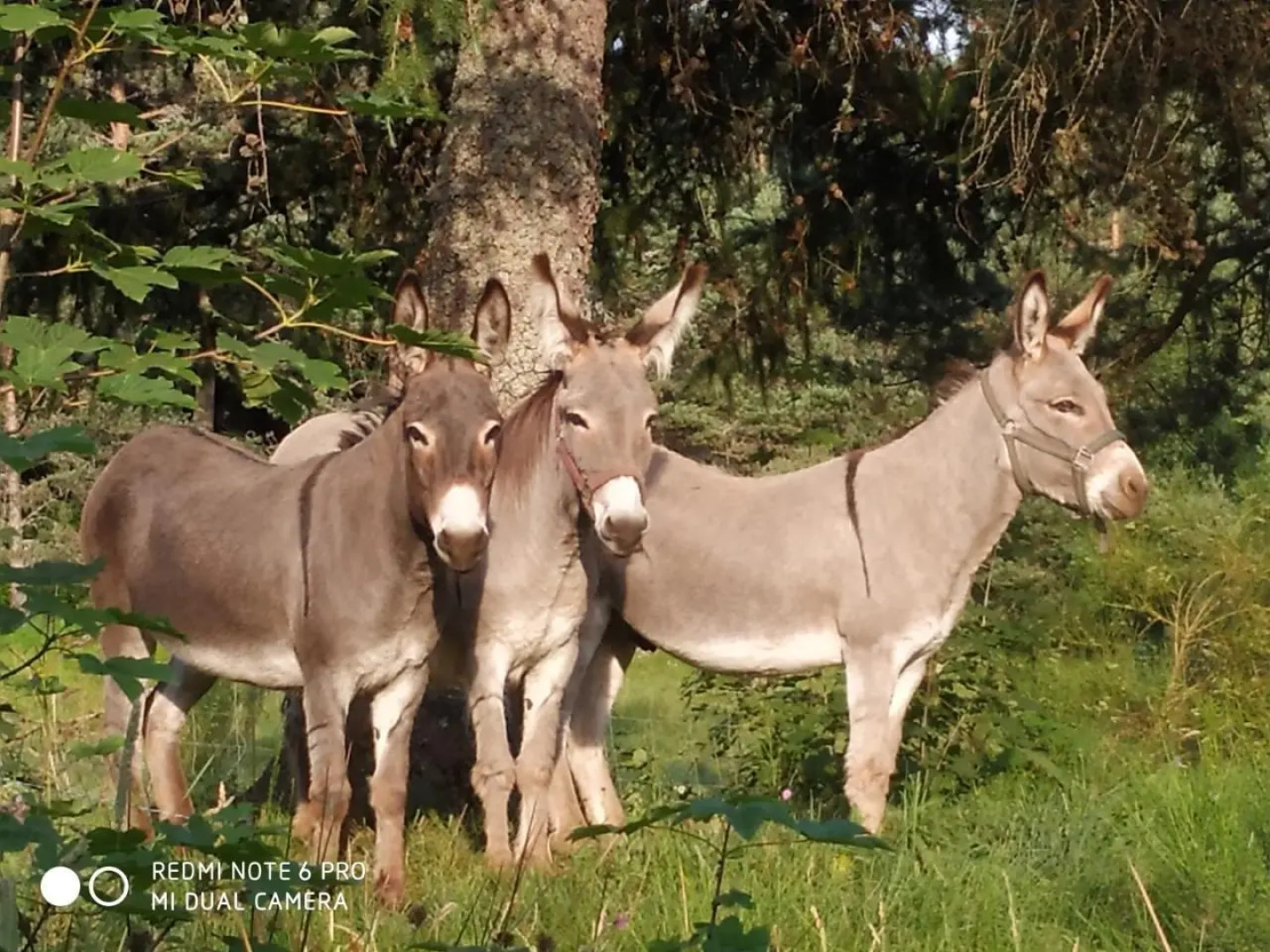 Re(S)Source (Adults Only)