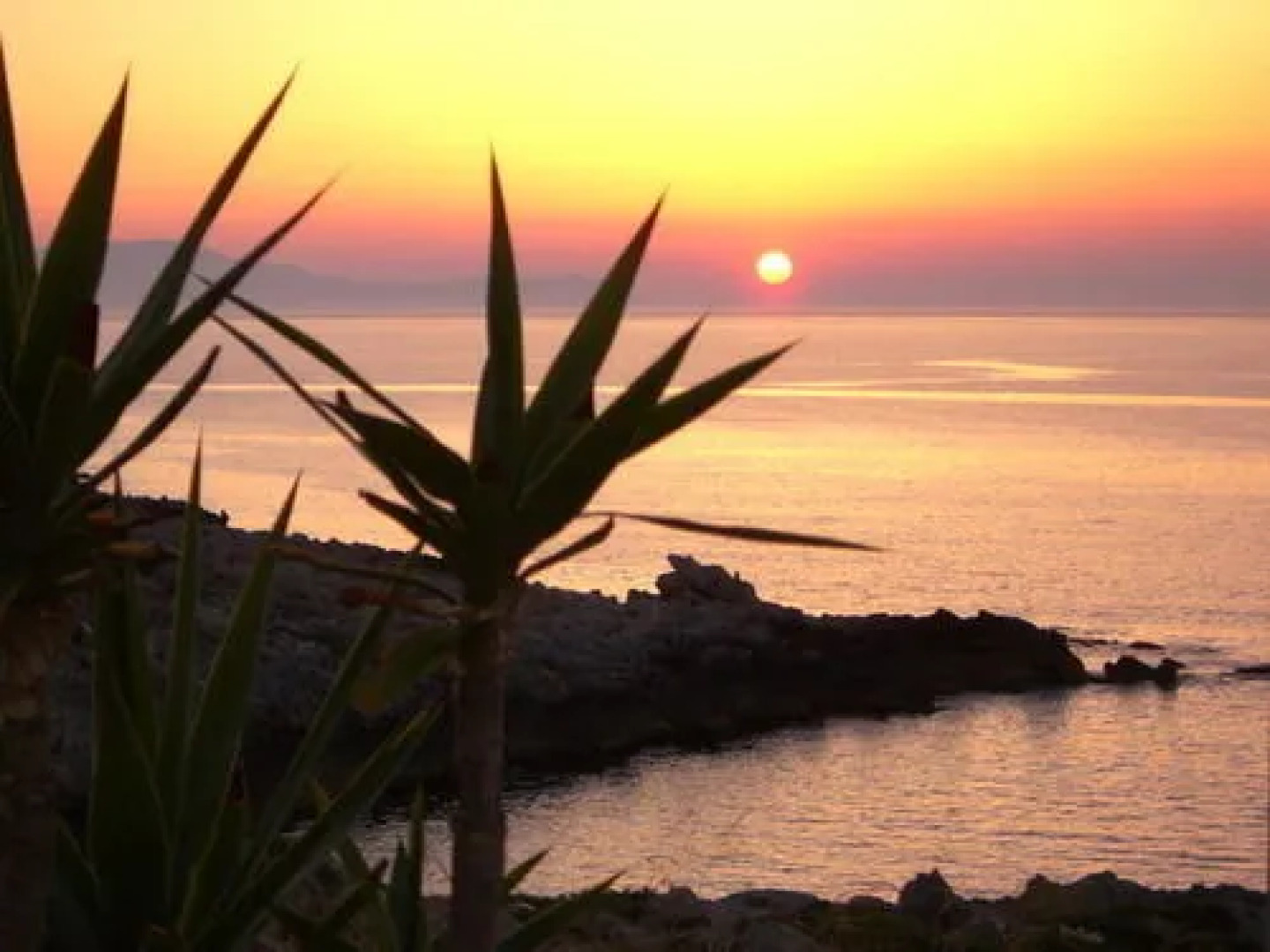 Giorgi's Blue Apartments