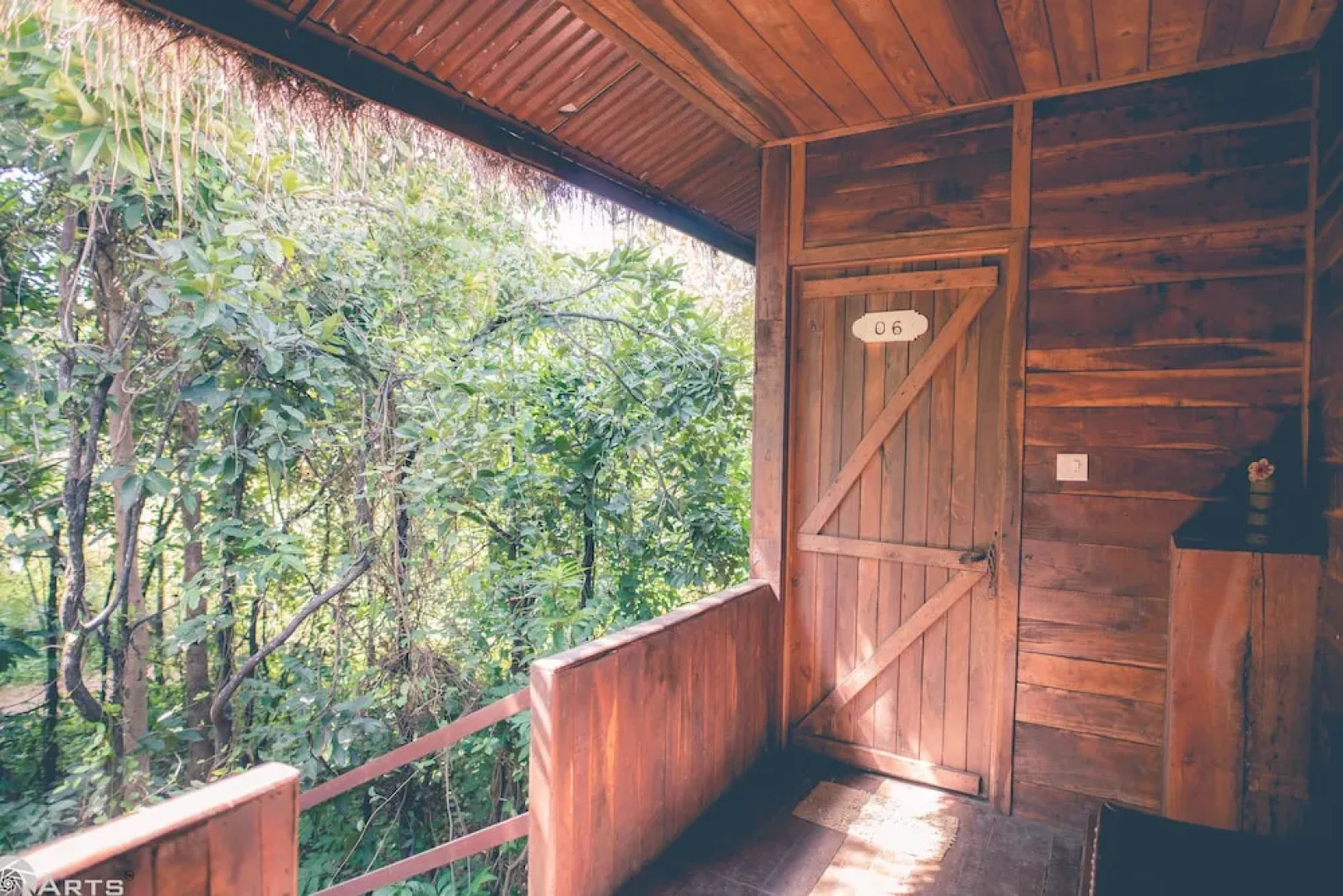 Tiger N Woods Resort