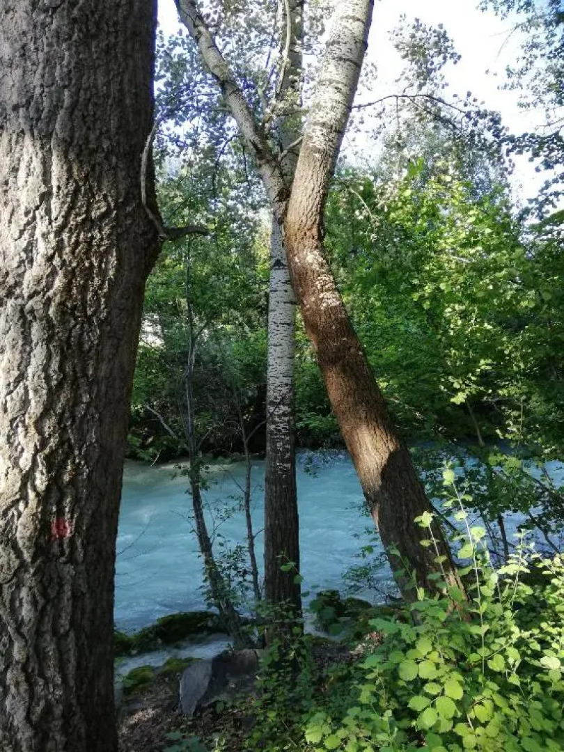 Chez Cathy chambre chez l'habitante