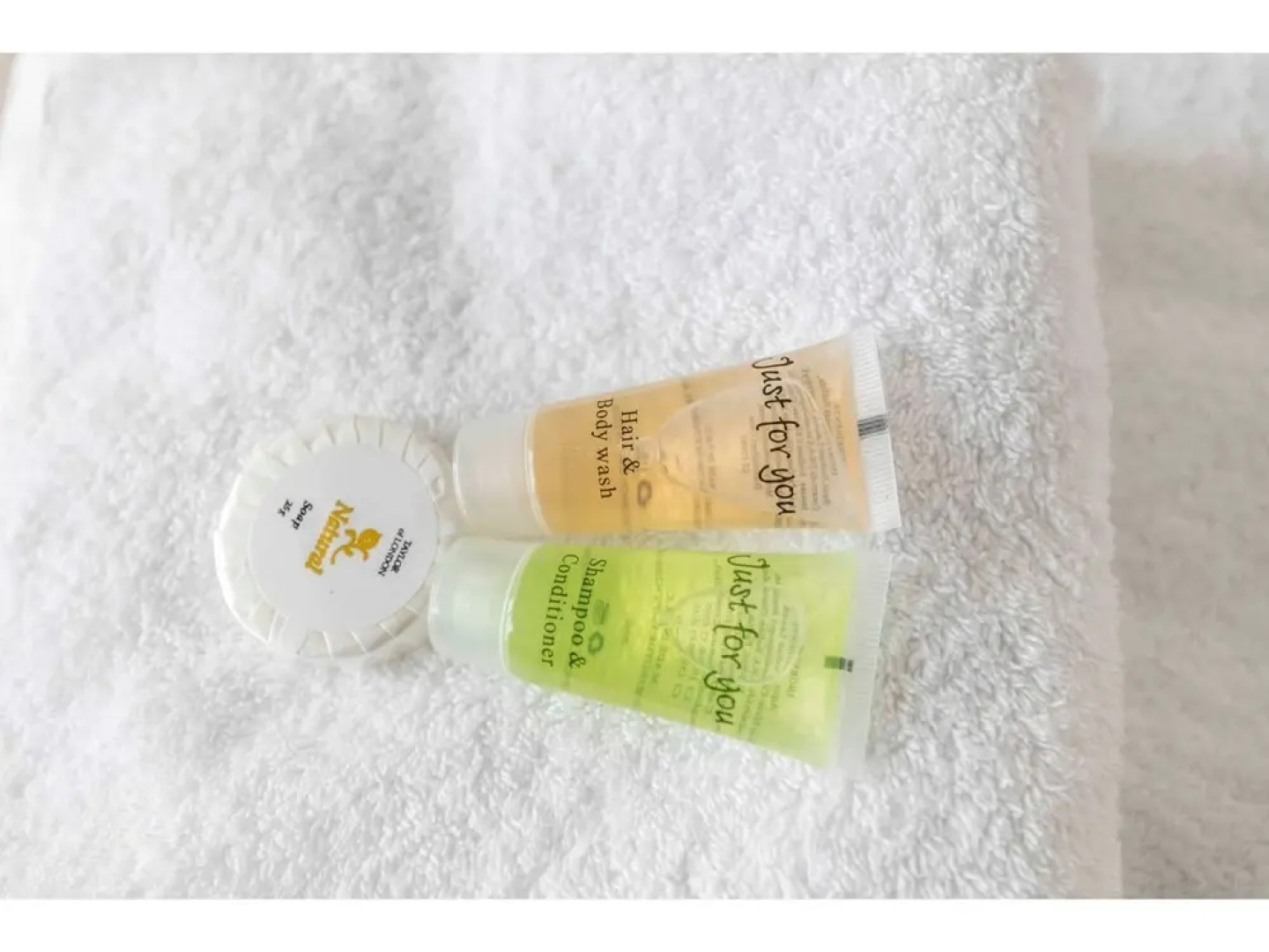 Trendy Sunlit 2BR Cambridge Home /free Parking