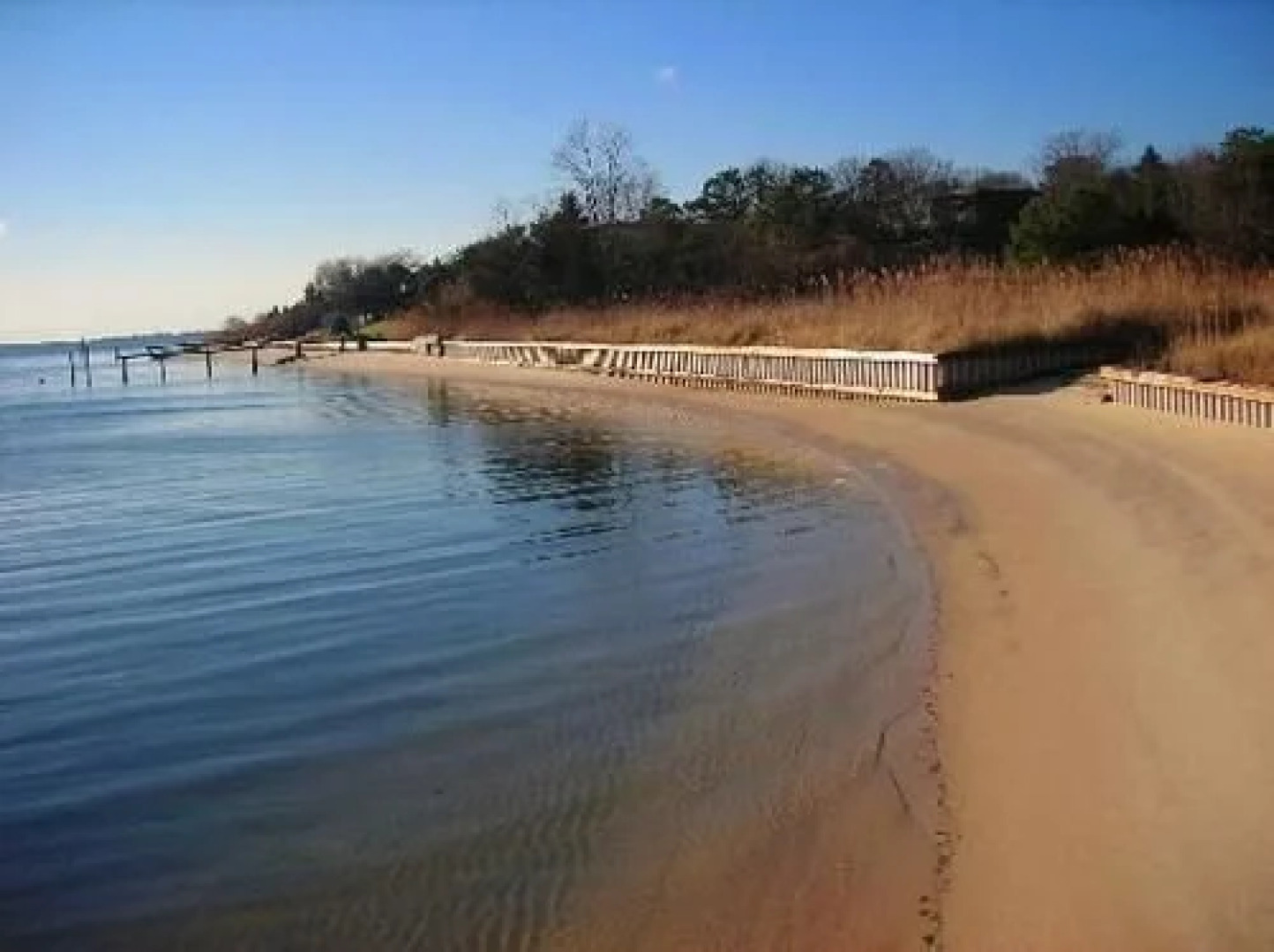 The American Cottage