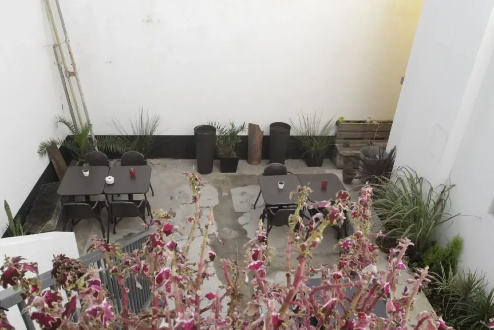 Procyon Boutique & Suites