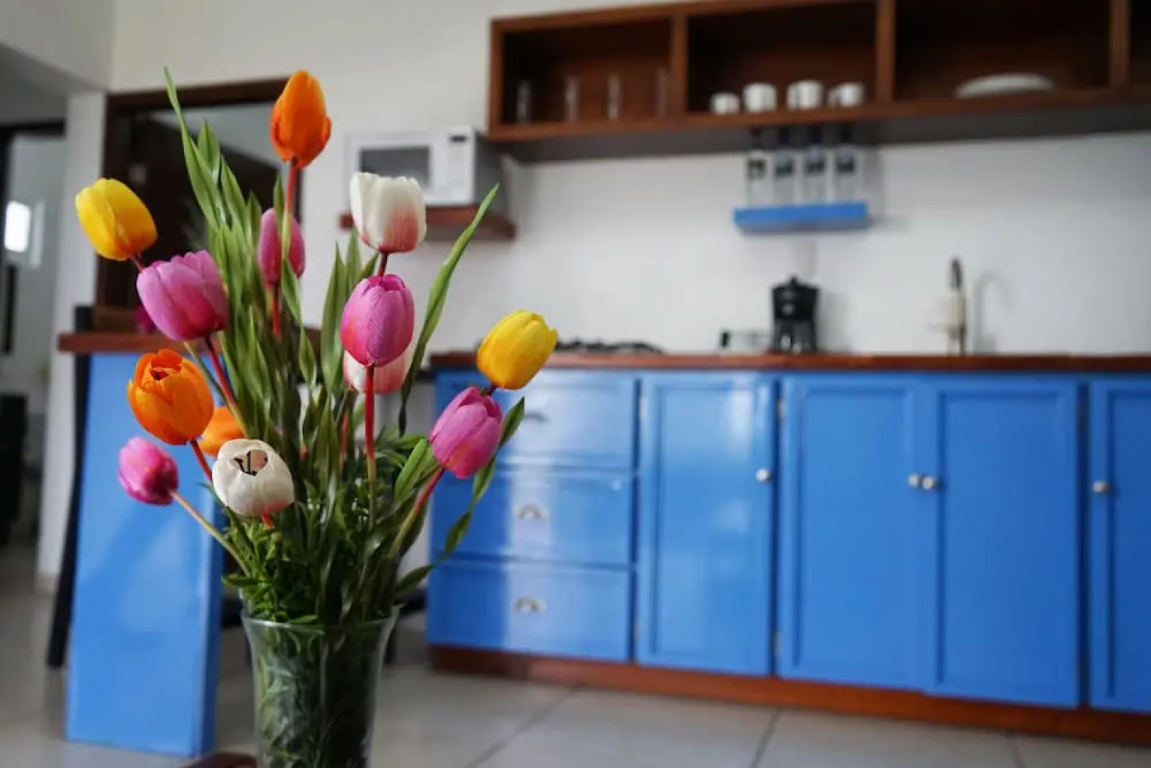 Color Marino Seaside Hotel