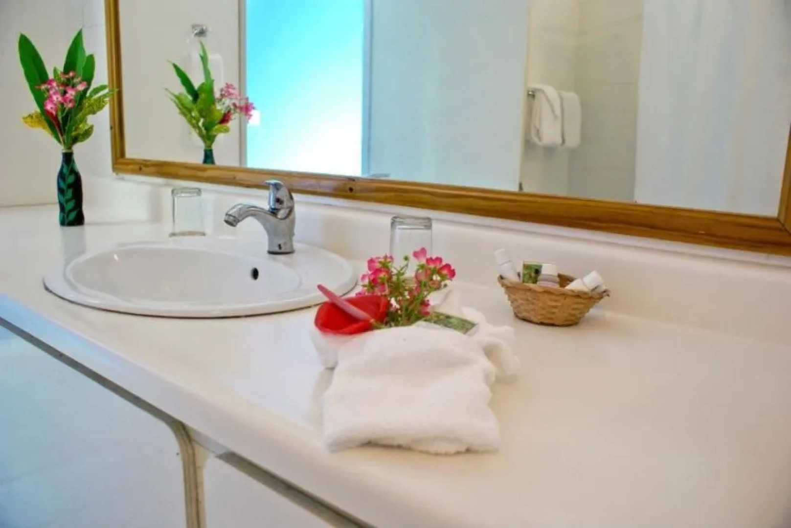 Anchorage Hotel, Whale Watch & Dive Center