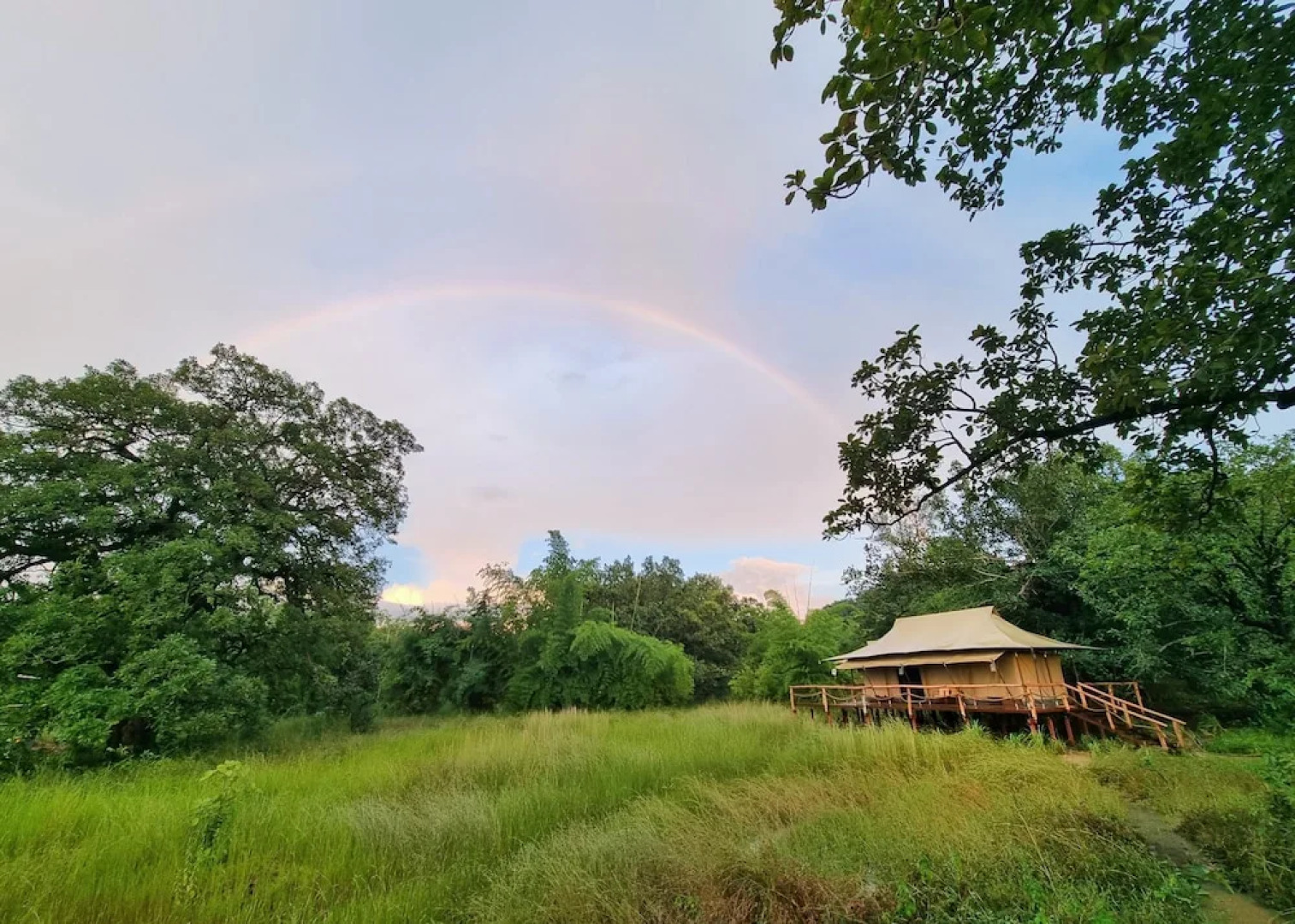 The Untamed Bandhavgarh by TUTC