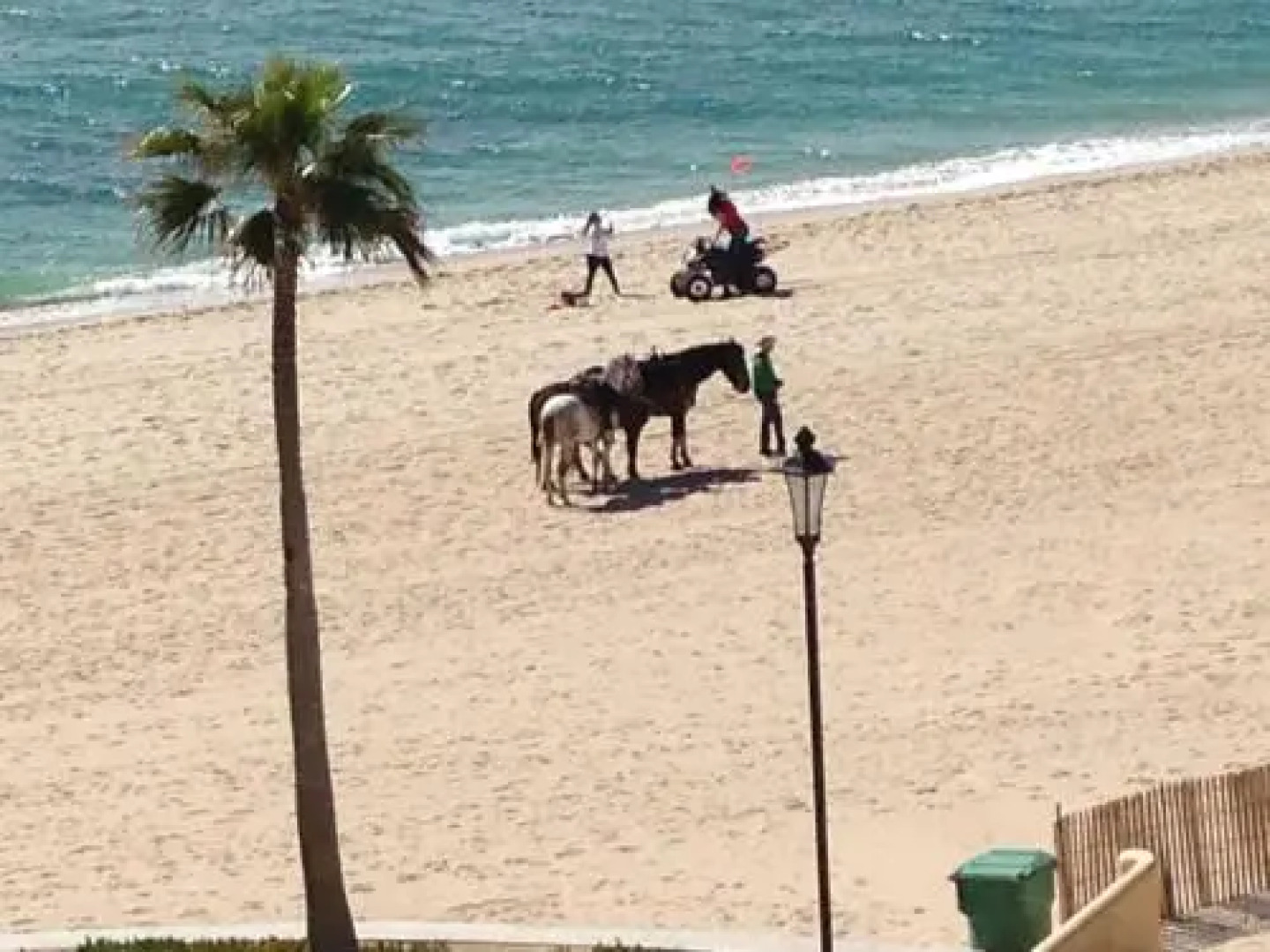 Sea-esta Condo On The Beach