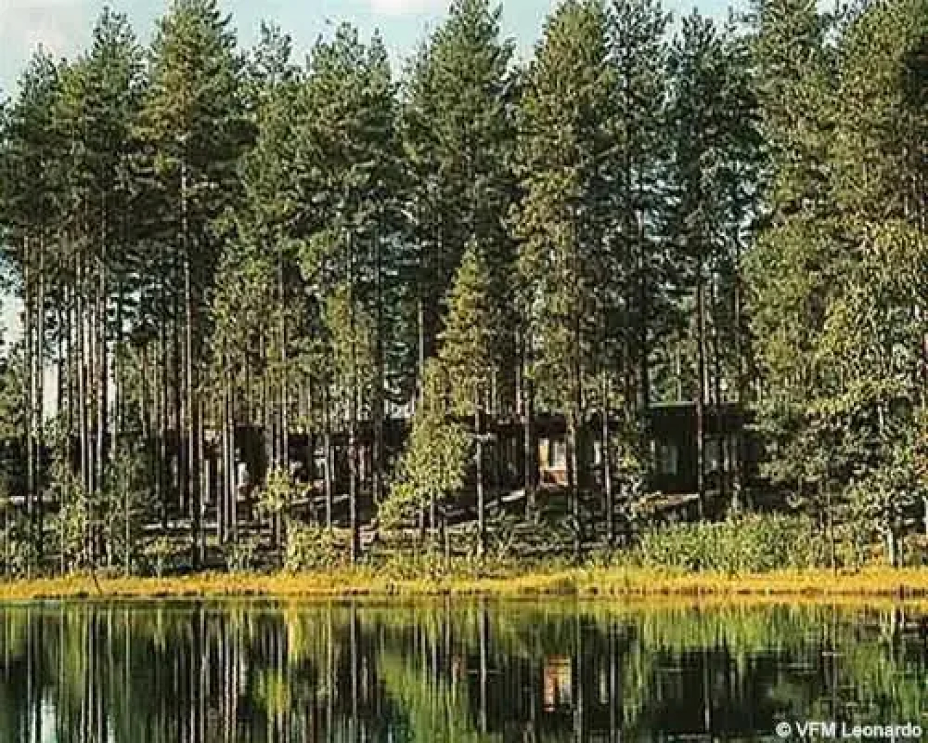 Rantasipi Joutsenlampi