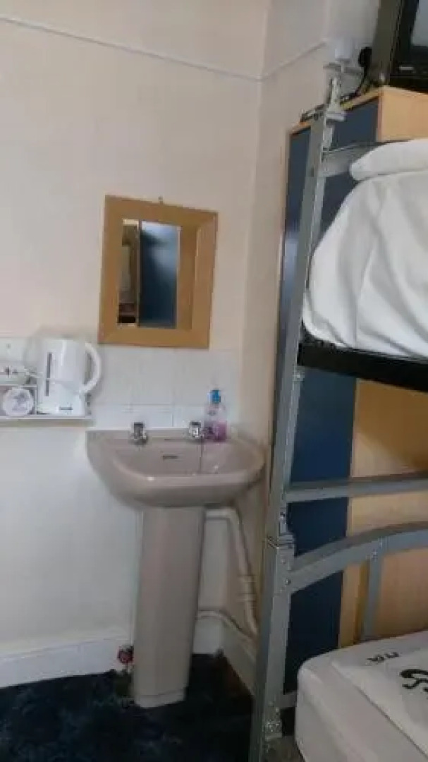 The Satter International