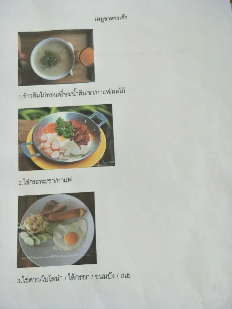 Bamboo Grove Chiang Mai