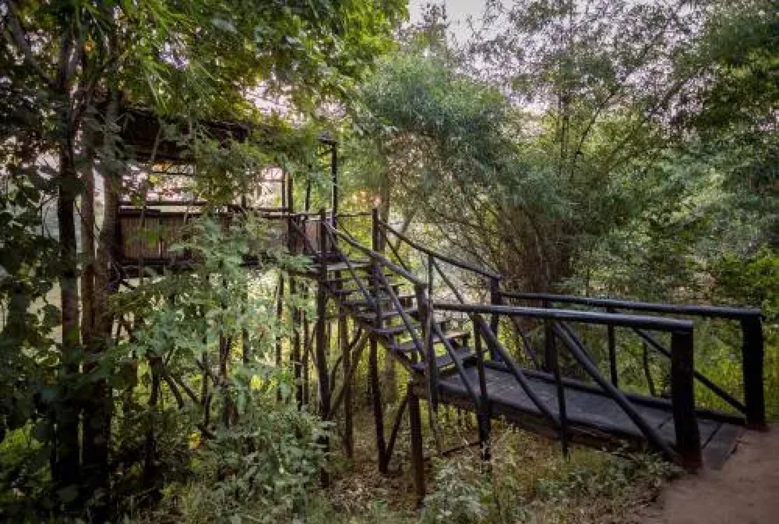 Tree House Hideway Bandhavgarh