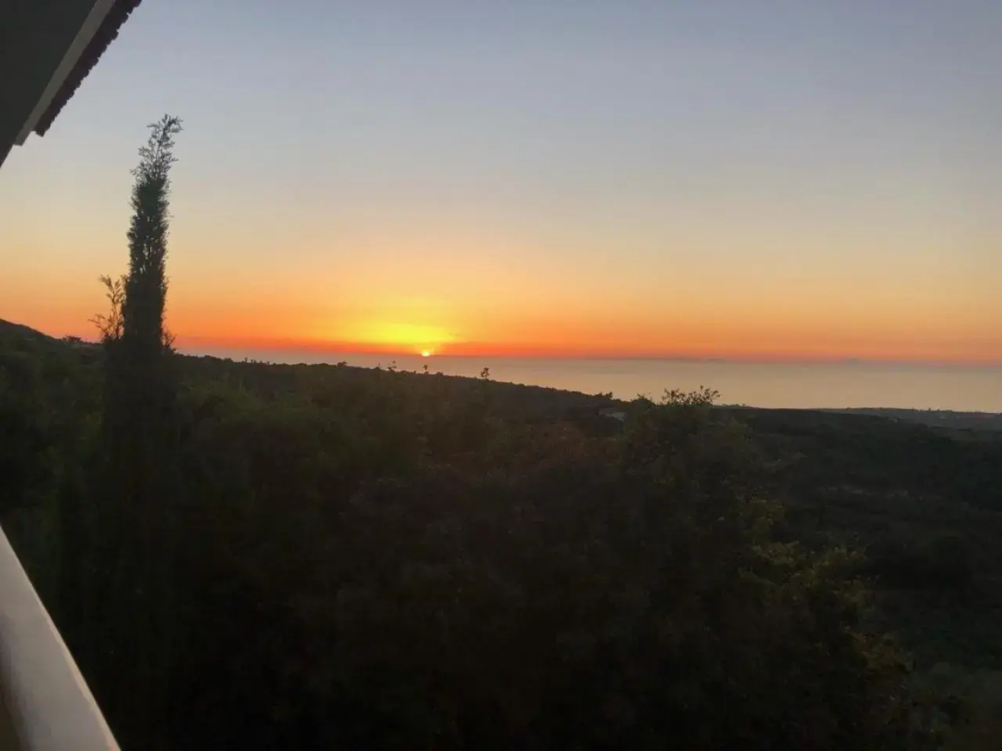 Kyparissia De Wandelboom