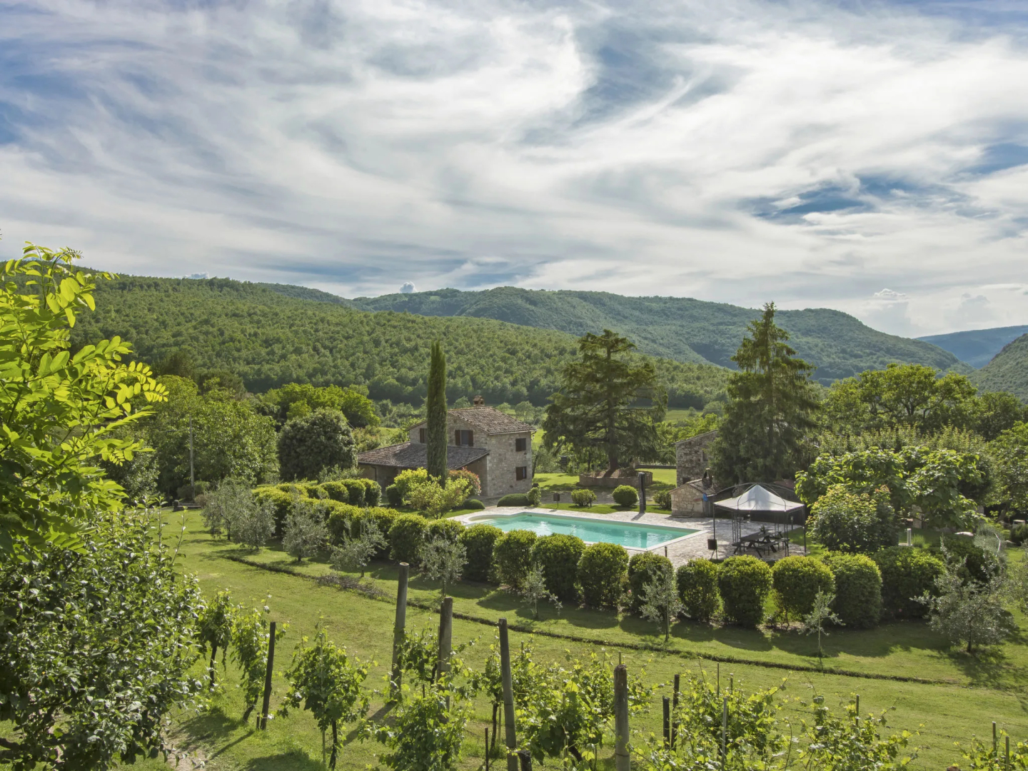 Locazione turistica Sunflower