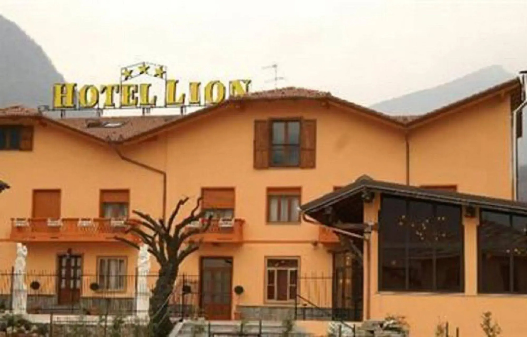 Hotel Lion