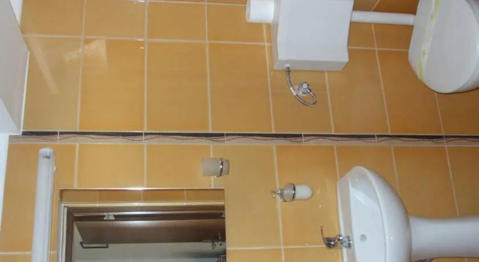 Complex Stejeris-Vatman Mures