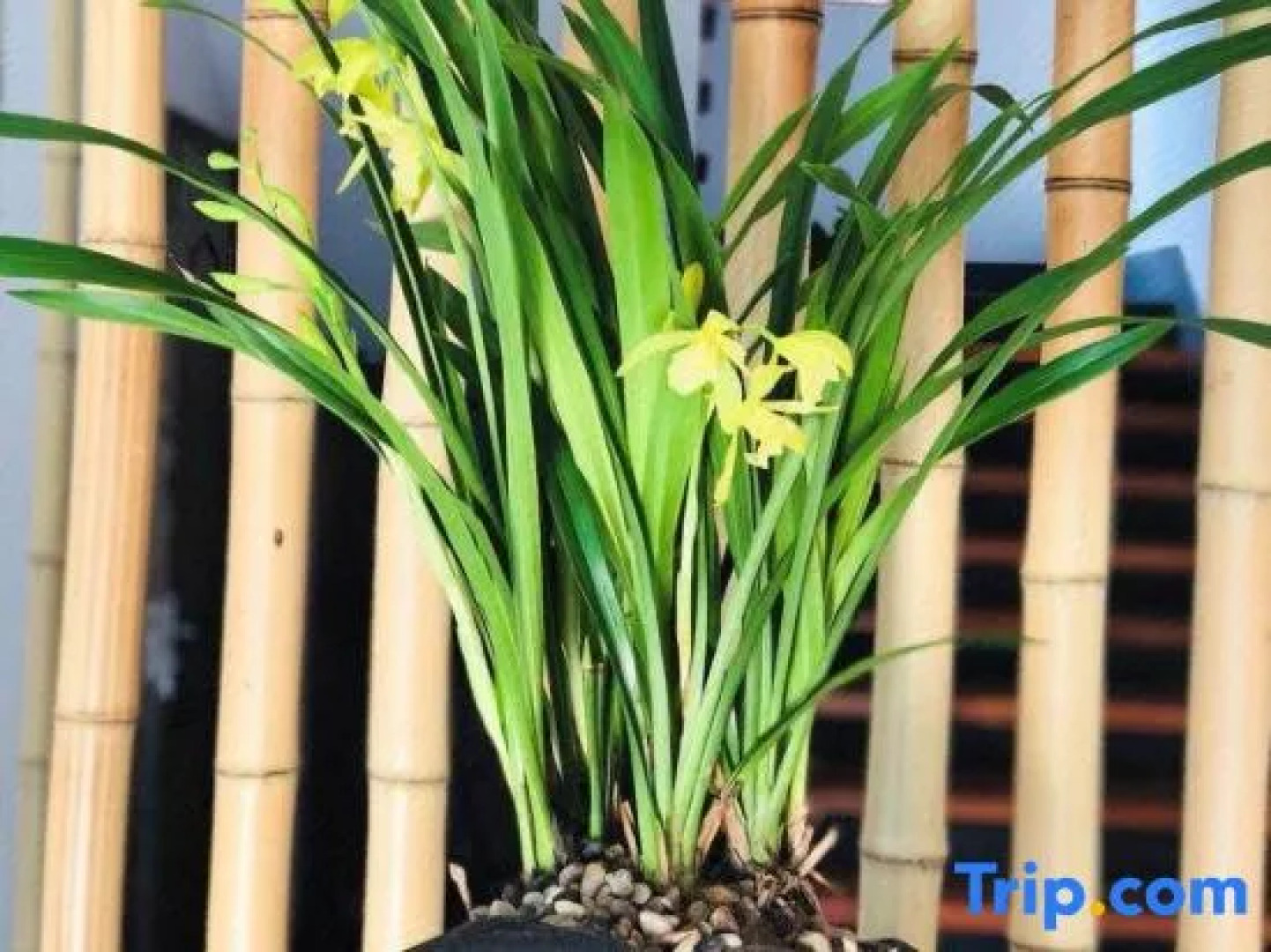 Huzhou Youyou Holiday Hotel