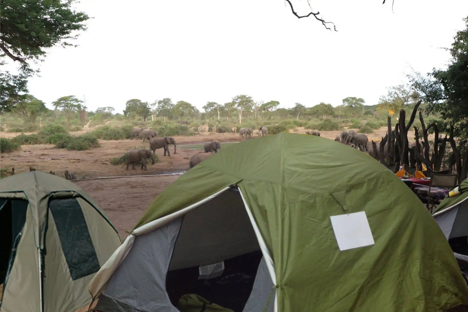 Liya Lodge and Campsite