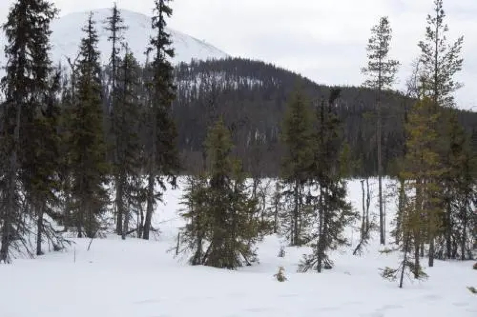 Ylläs Suistotie Cottage