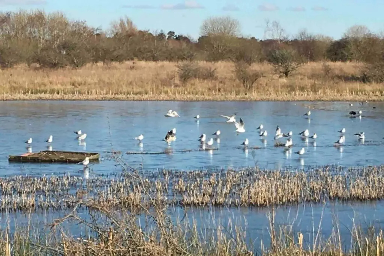 Stunning Luxury Apartment Near Motherwell