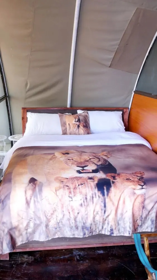 Amanya 2-rooms Lioness Family