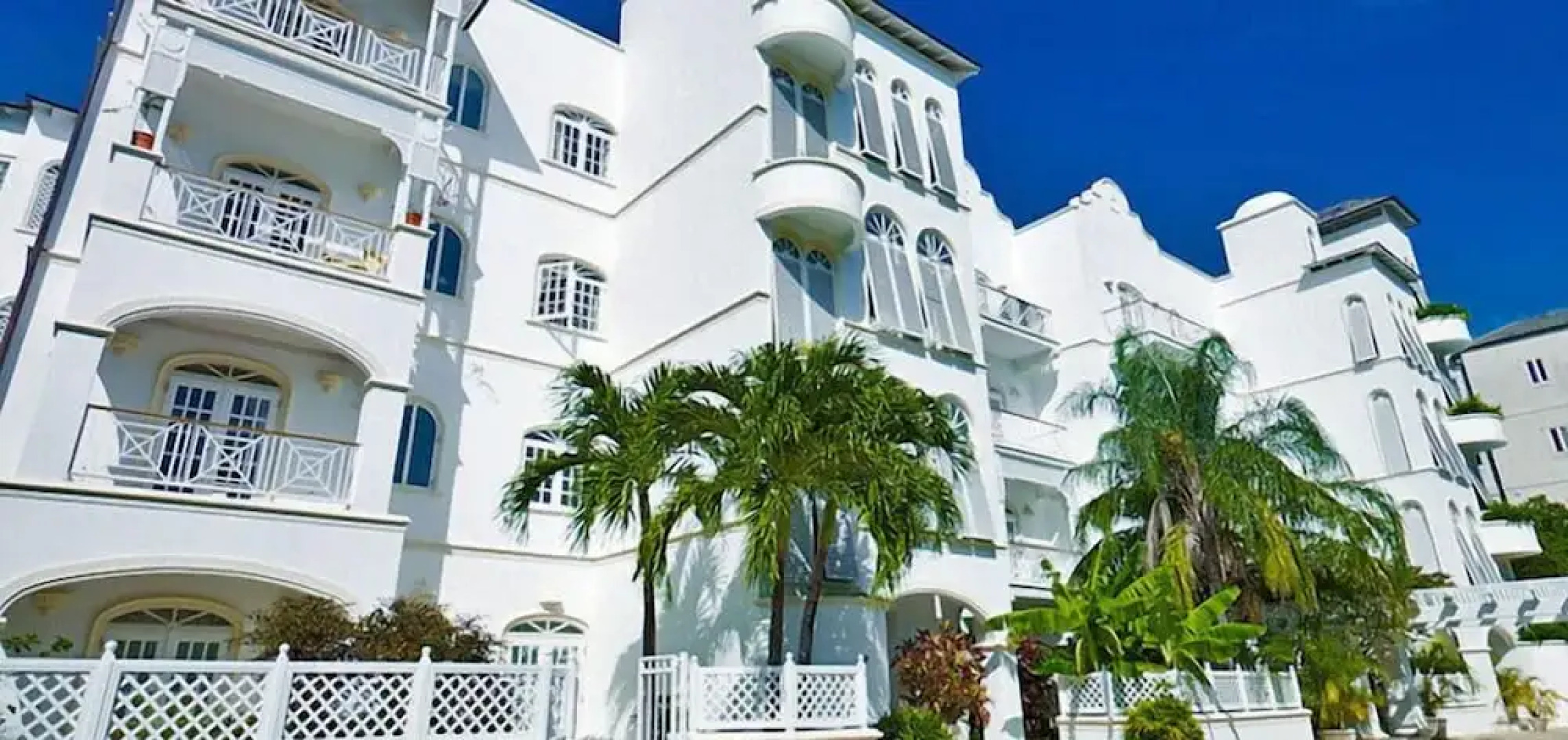 Old Trees 302 - La Mirage