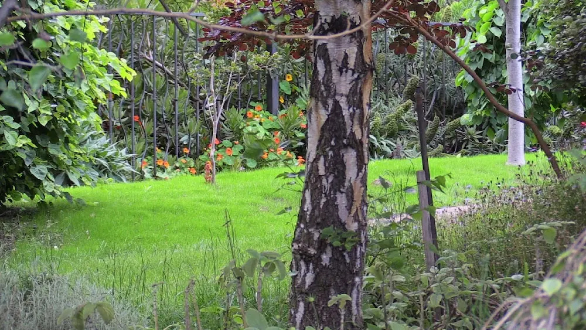 The Musicians Retreat B&B