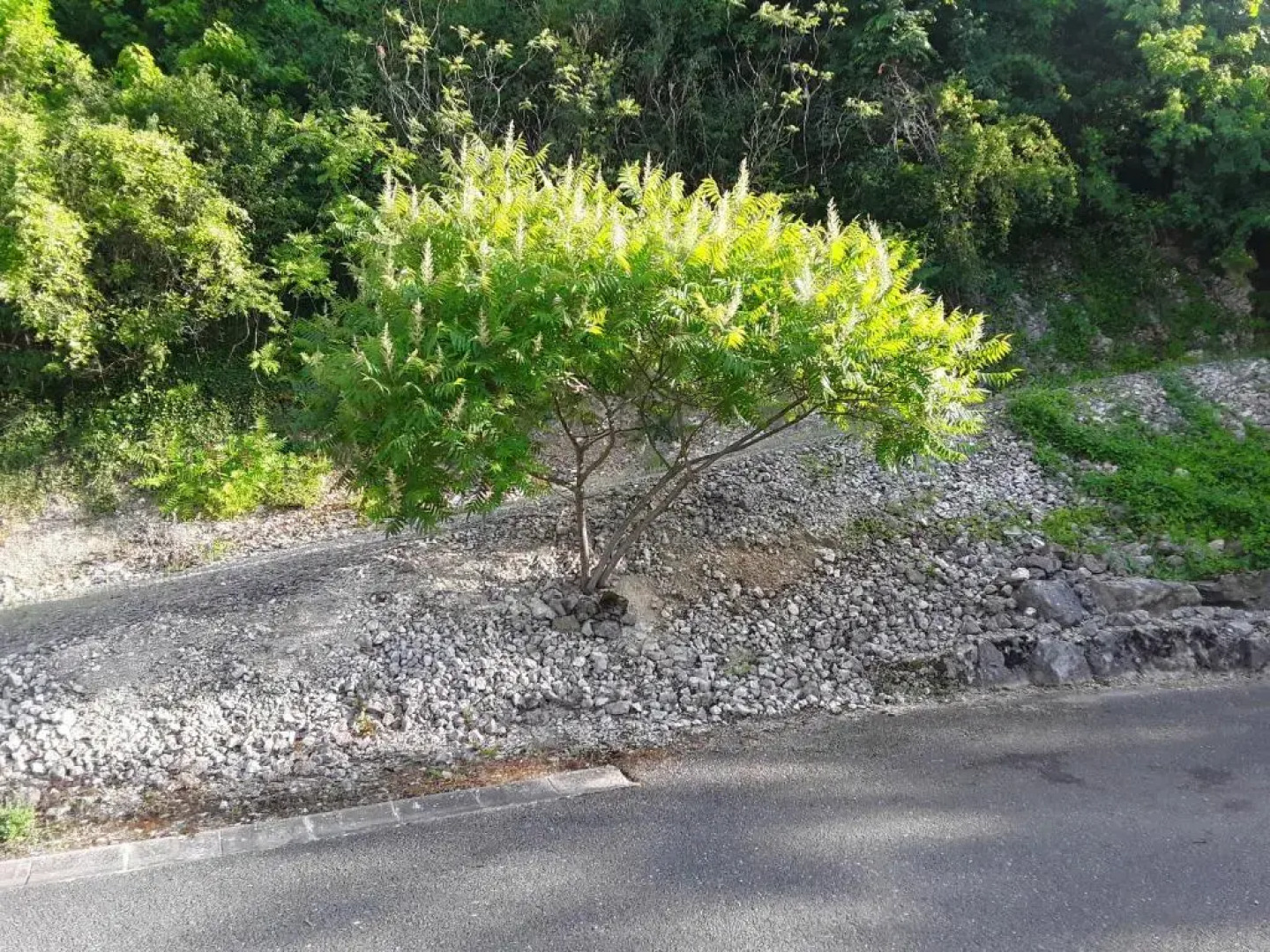 Sporthotel Fränkische Schweiz - Hostel