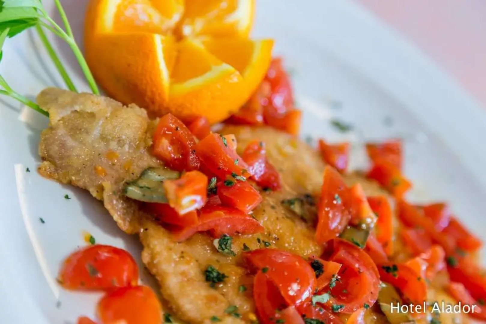 Hotel Ristorante Alador