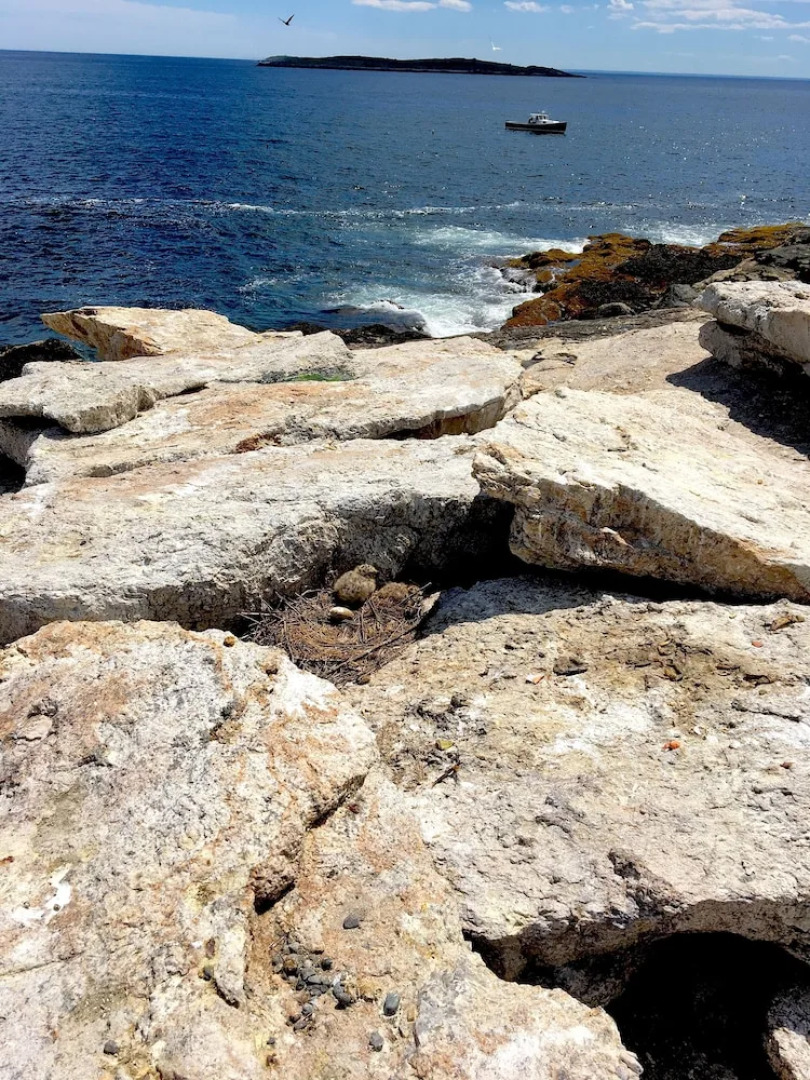 Captain Sawyer's Bed & Breakfast