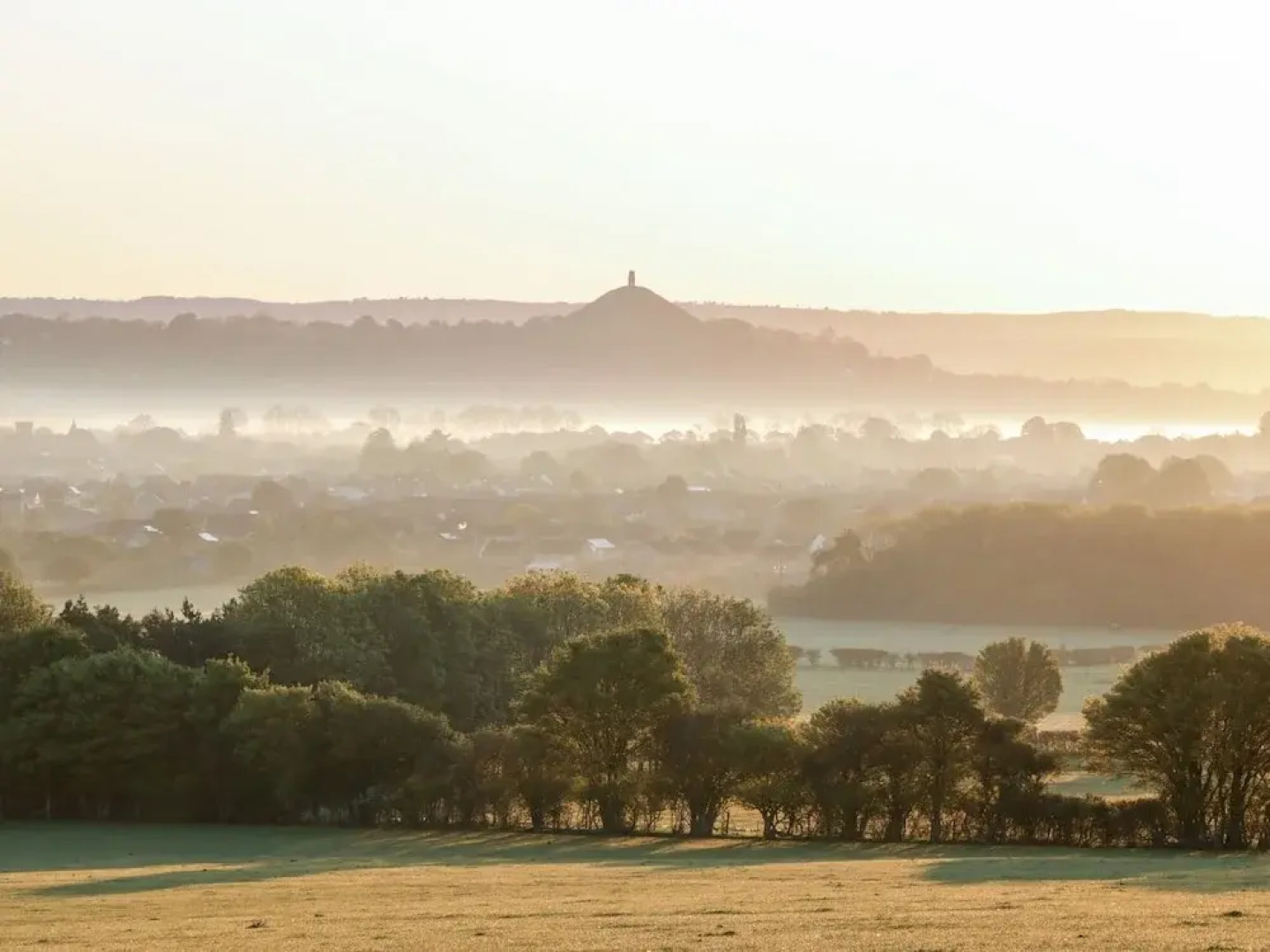 Tree of Life House, Number 27 Bere Lane