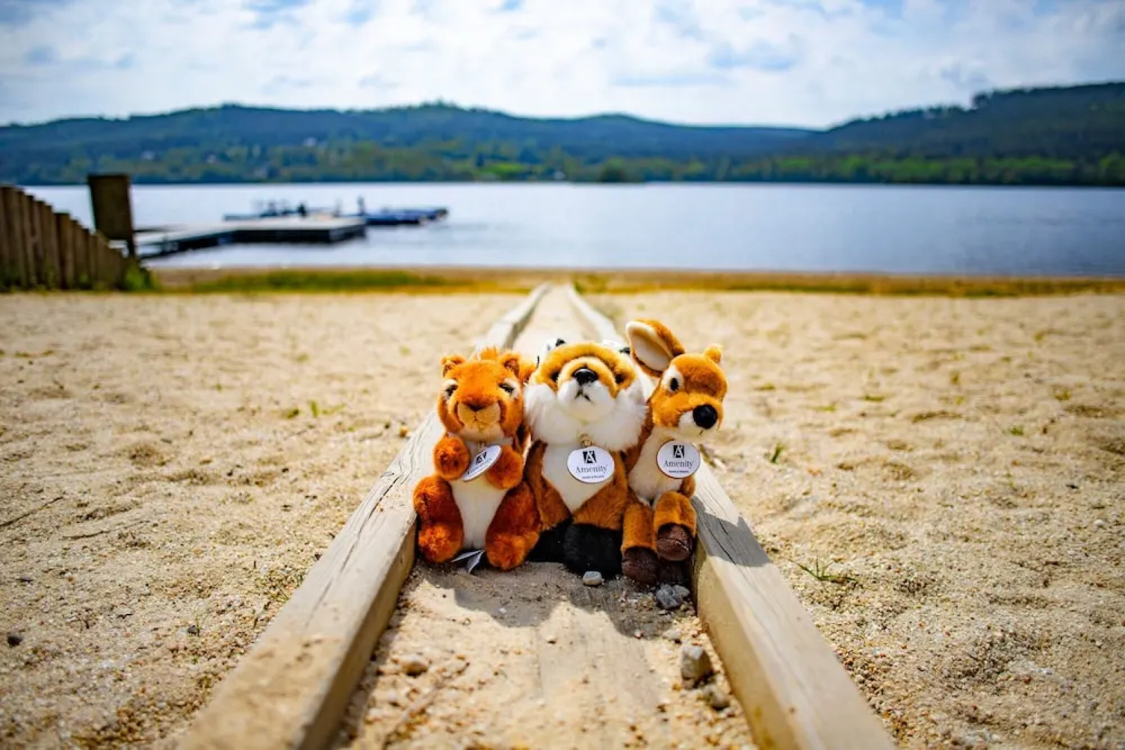 Amenity Hotel & Resort Lipno