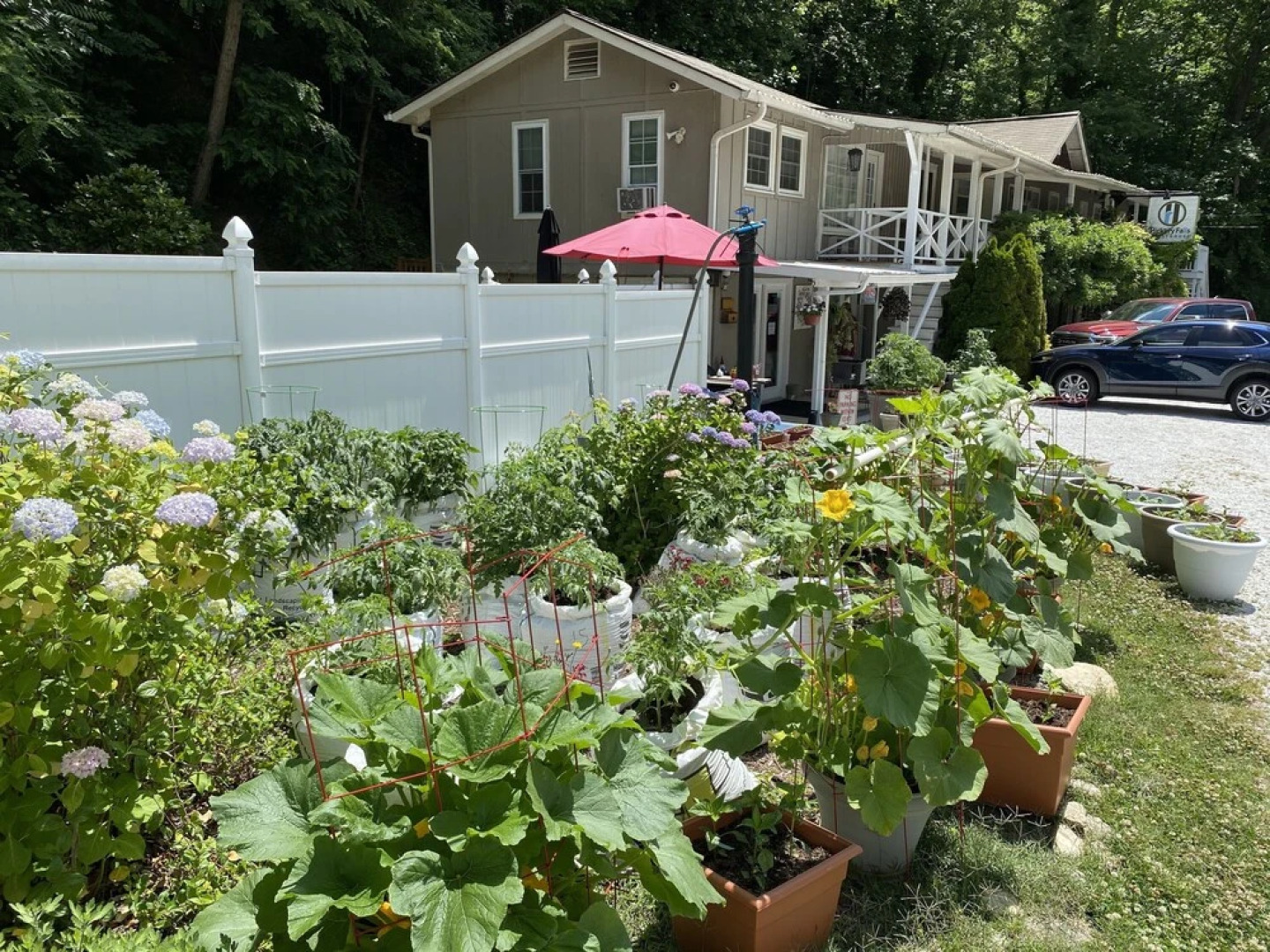 Hickory Falls Guesthouse