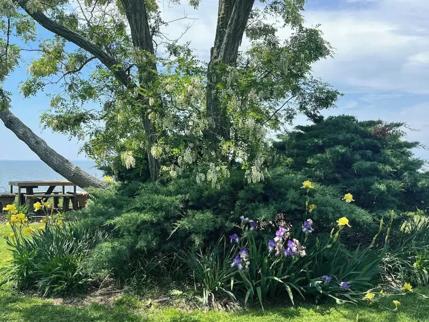 Black Walnut Point Inn