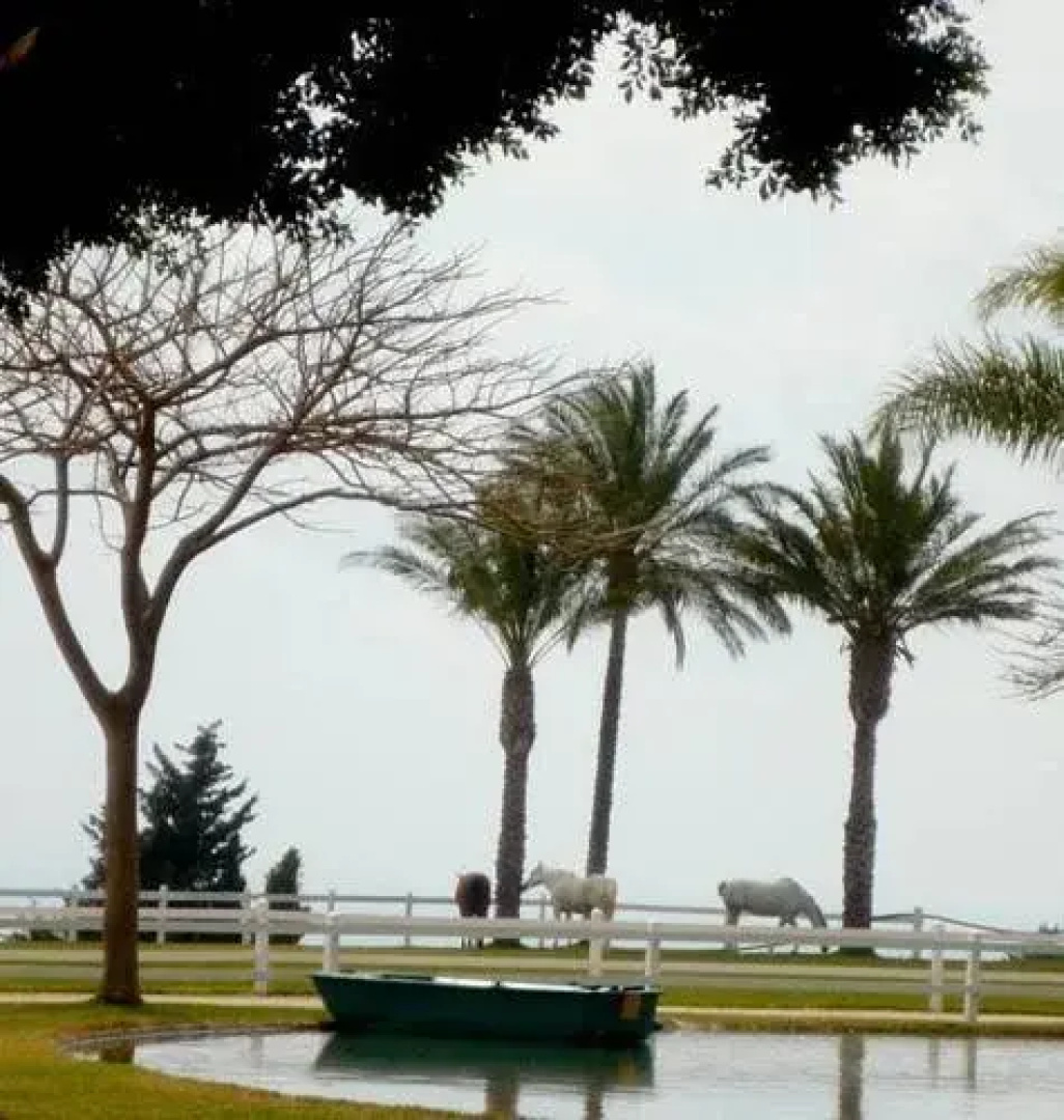 Al-Yasmine Guest House