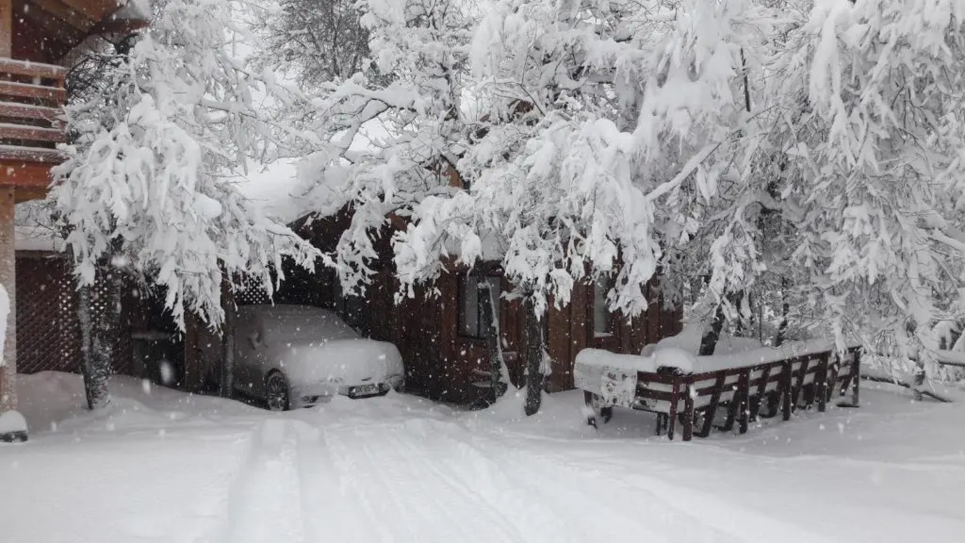 Cabañas Tronco Mayen