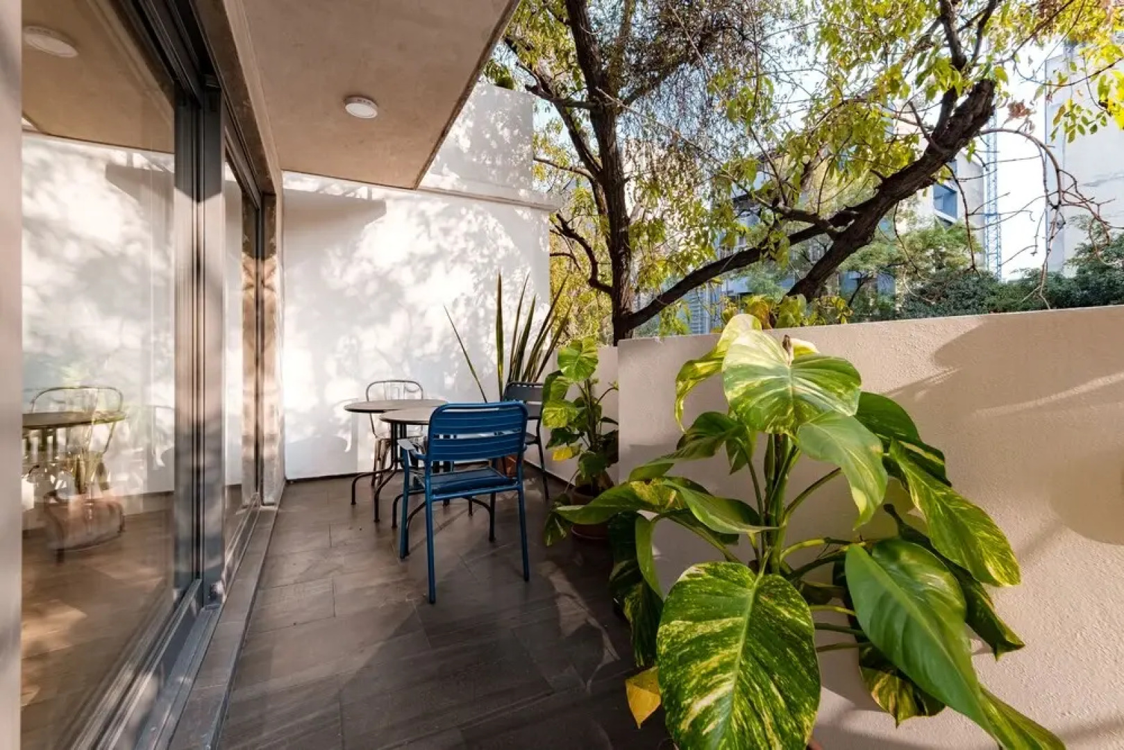 Baja California 279 Apartments