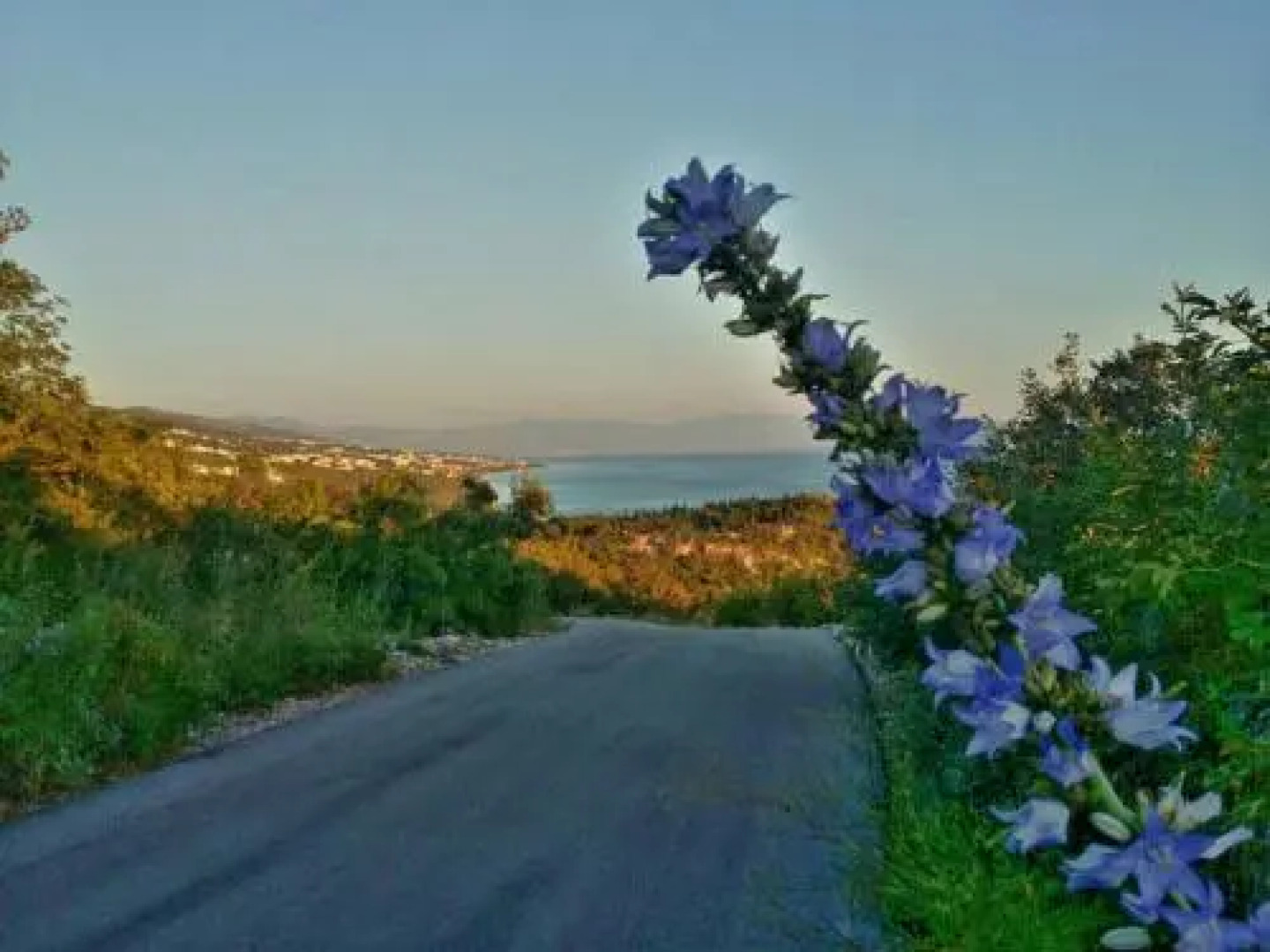 Ferienwohnung Marina