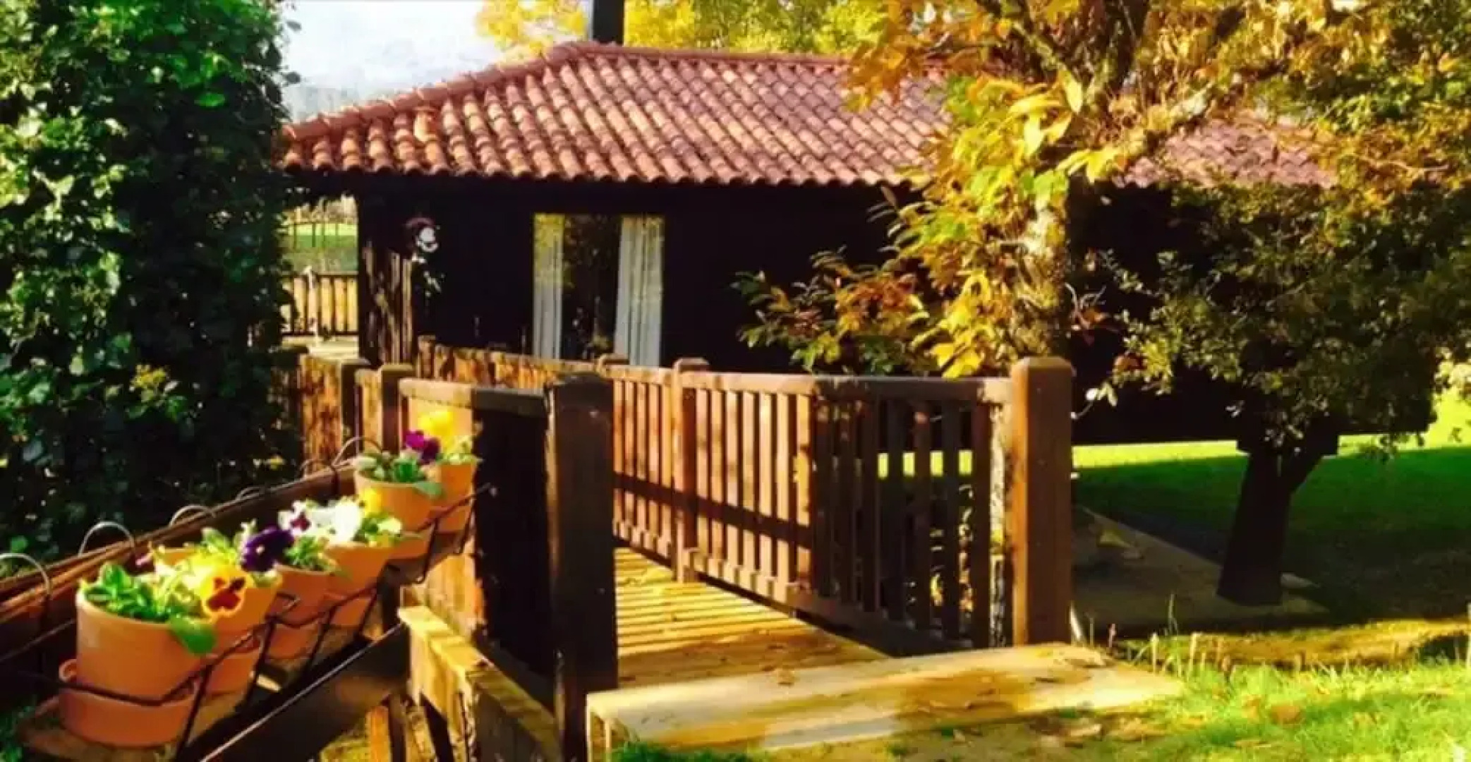 Tree Pool Villa in Arcos de Valdevez
