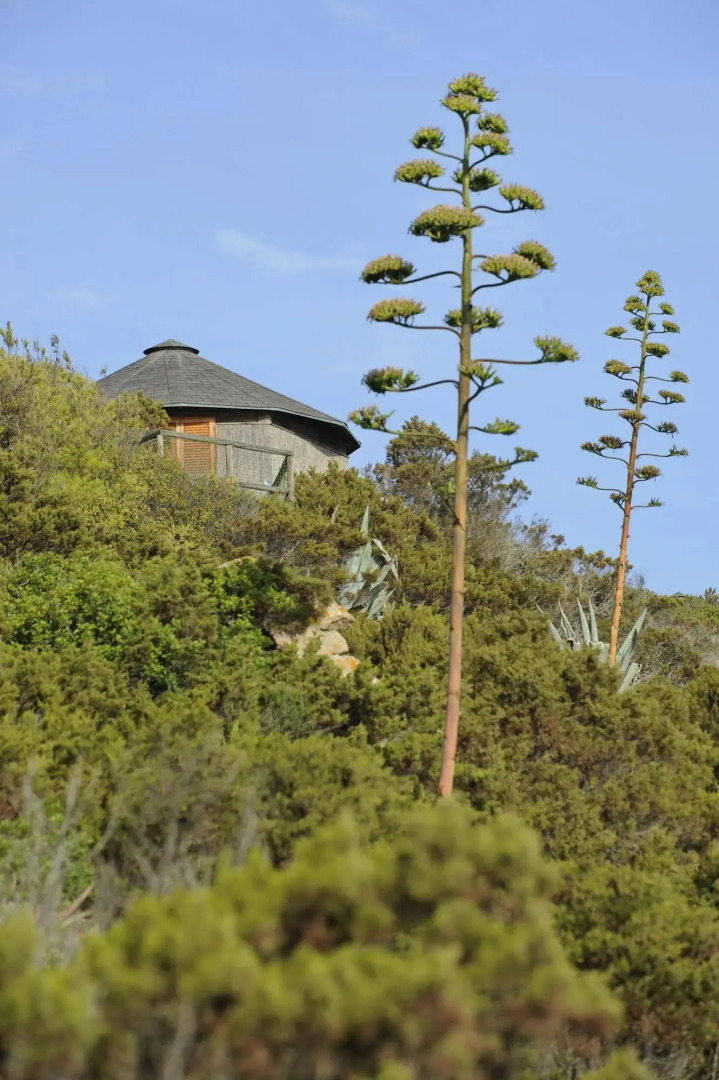 Touring Club Italiano - La Maddalena