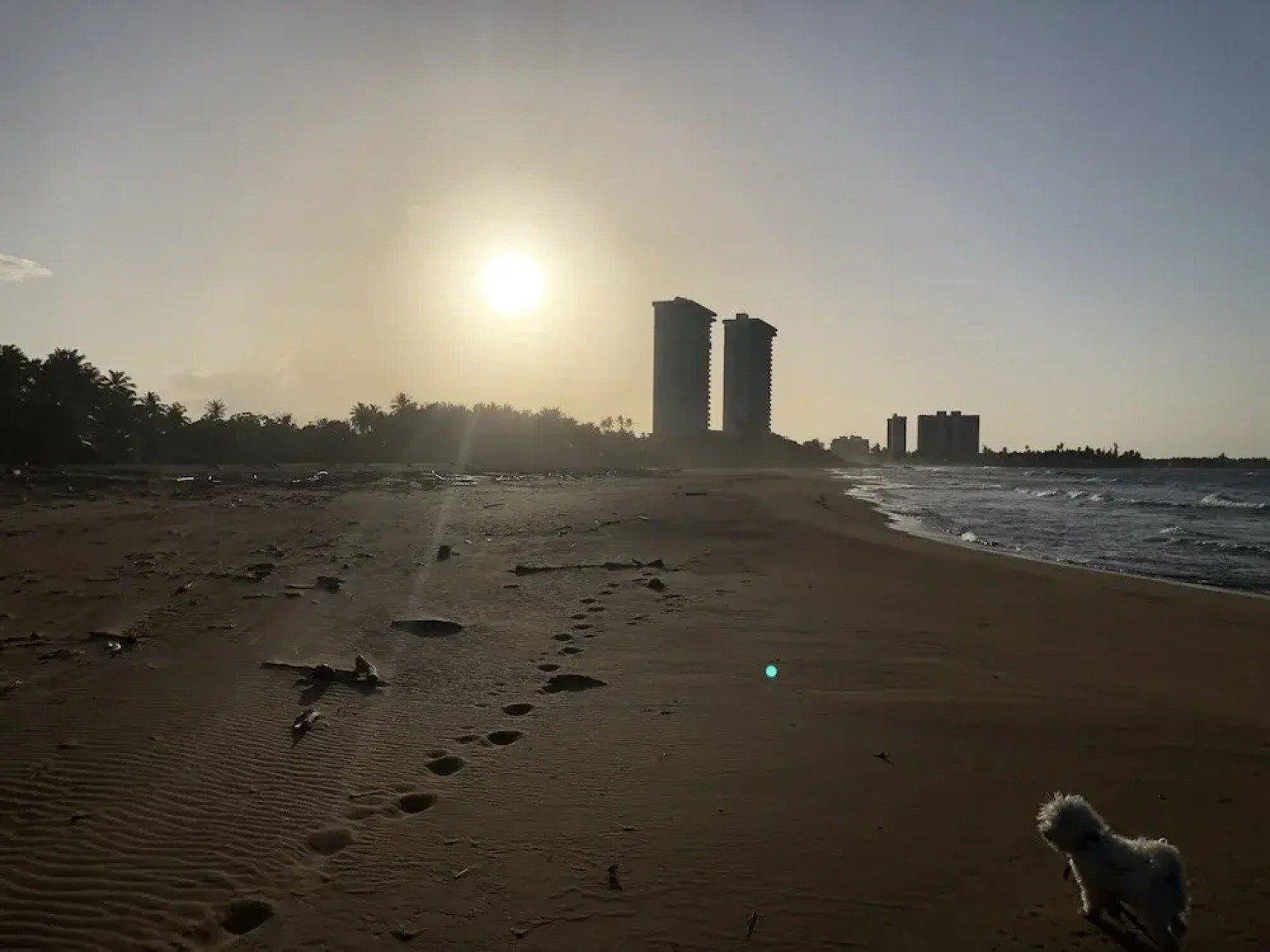 Ocean View Gorgeous 1 Bedroom Apt