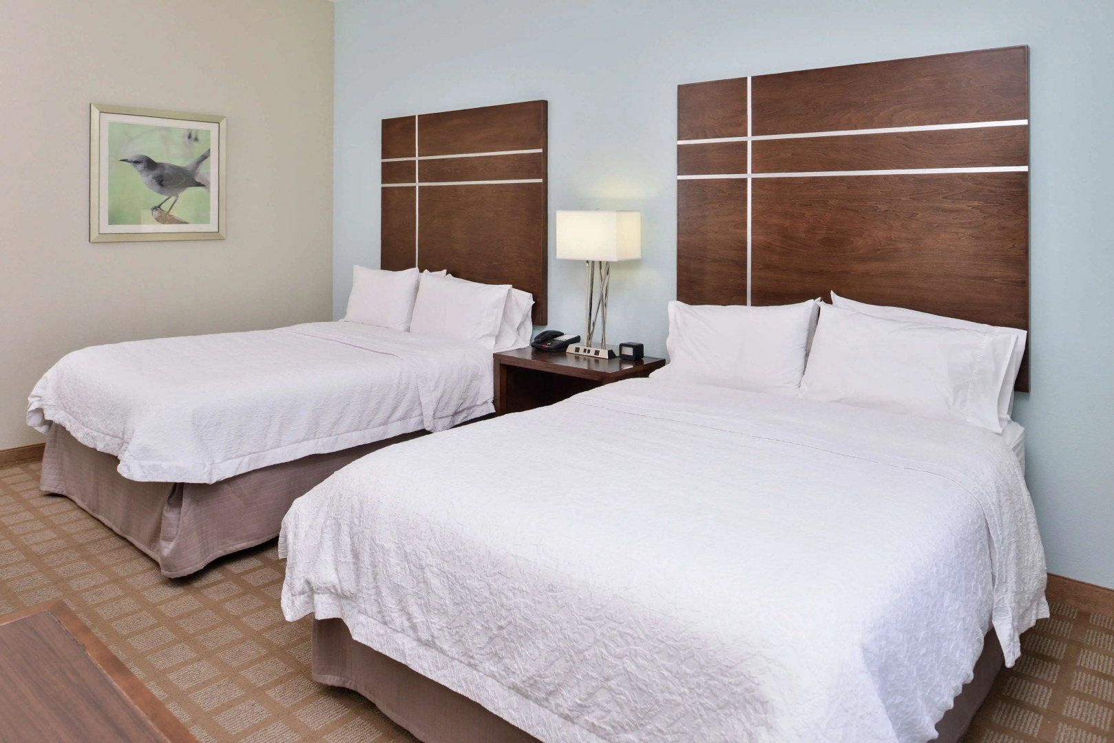 Hampton Inn & Suites Hutto Austin