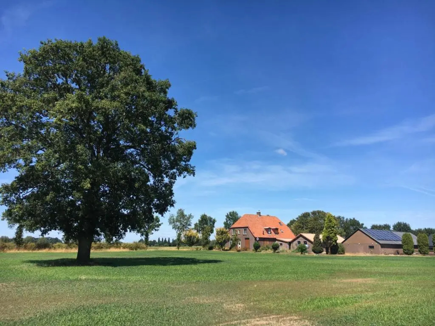 B&B de Waalhoeve