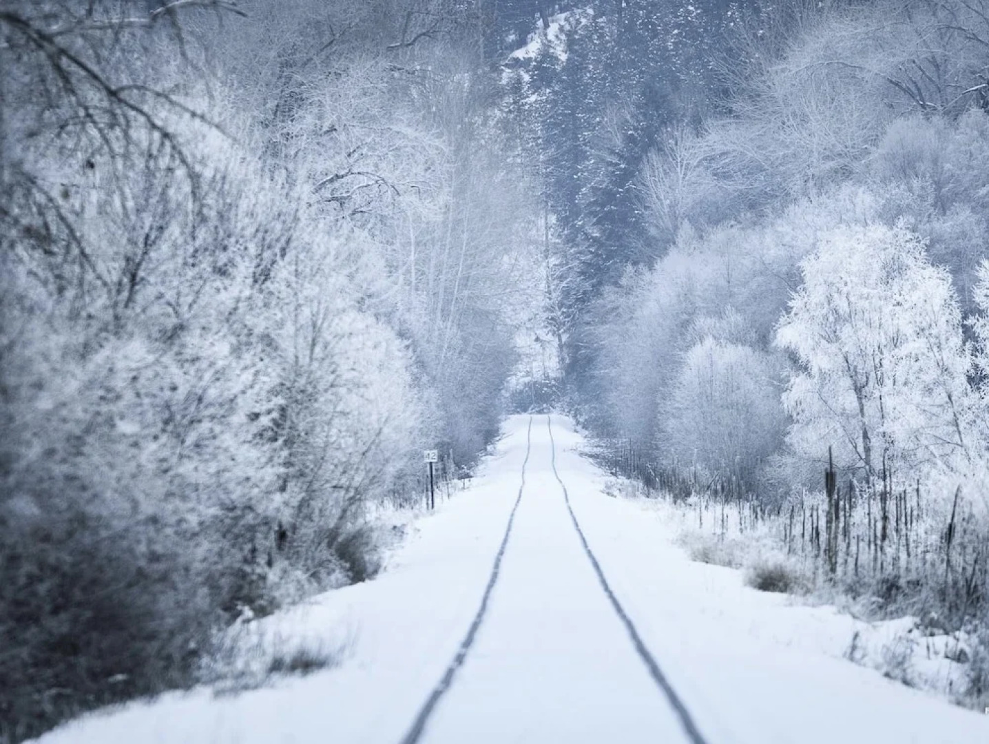 Barefoot Villas Cabin 2 Moose w/ Hot Tub